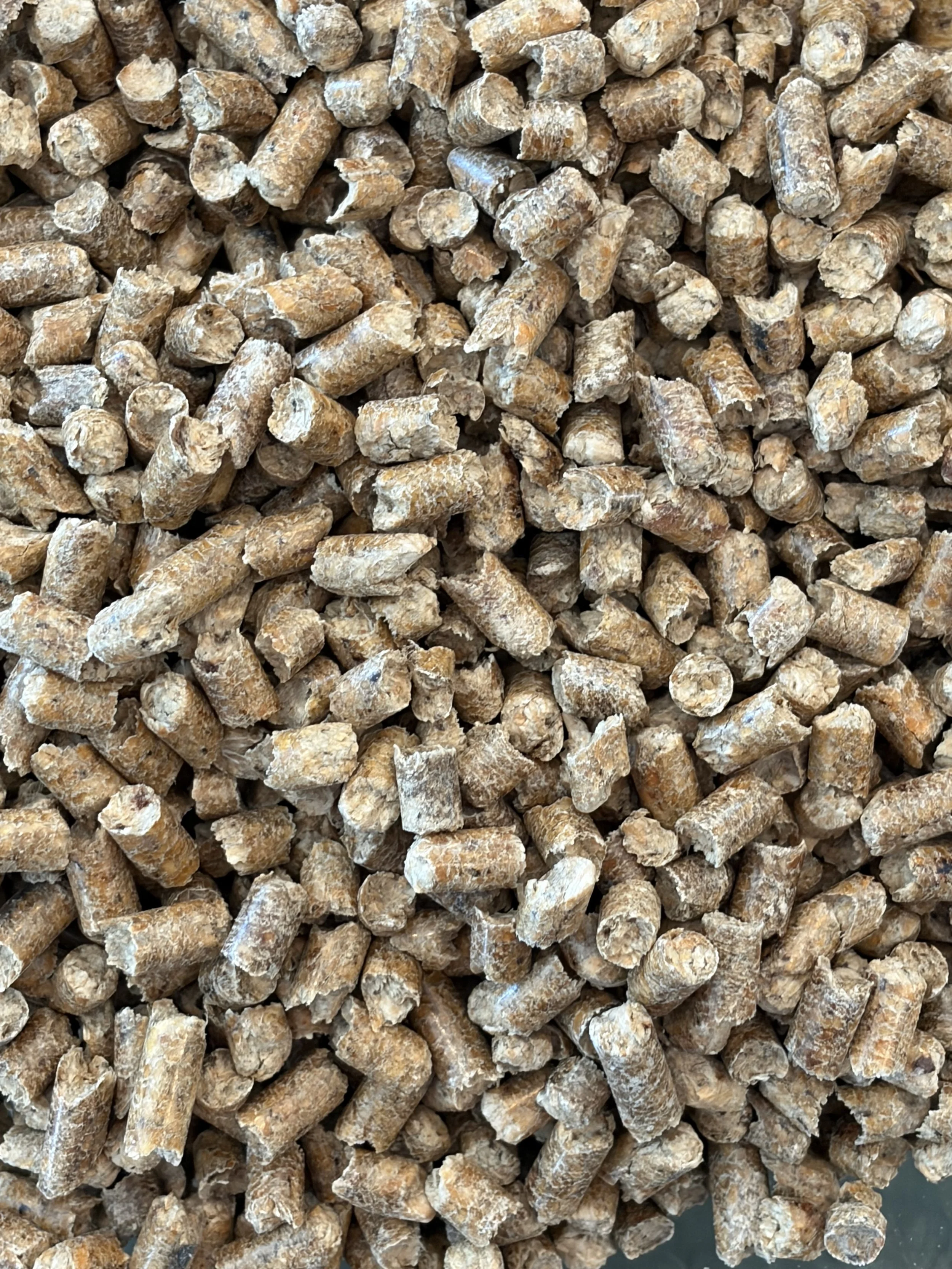 Southern yellow pine fuel pellets