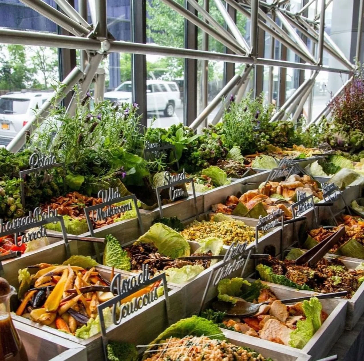 Fresh salads, vegetables, and herbs arranged for a catered buffet.