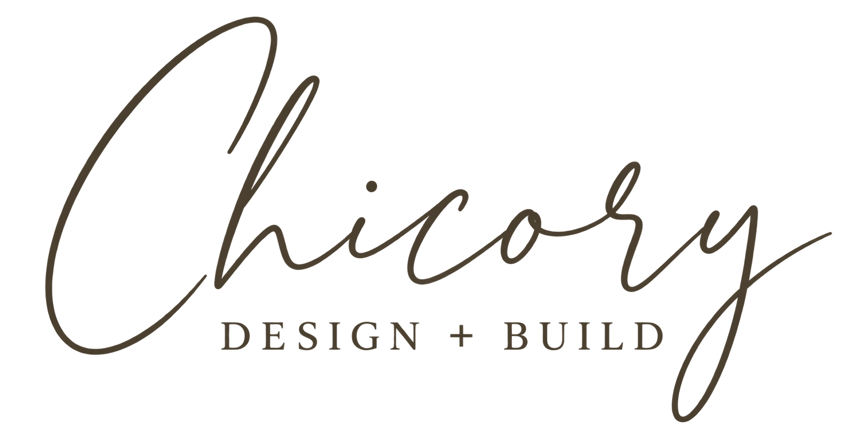 Chicory Design + Build logo with elegant cursive font for 'Chicory' and uppercase text for 'Design + Build' underneath.