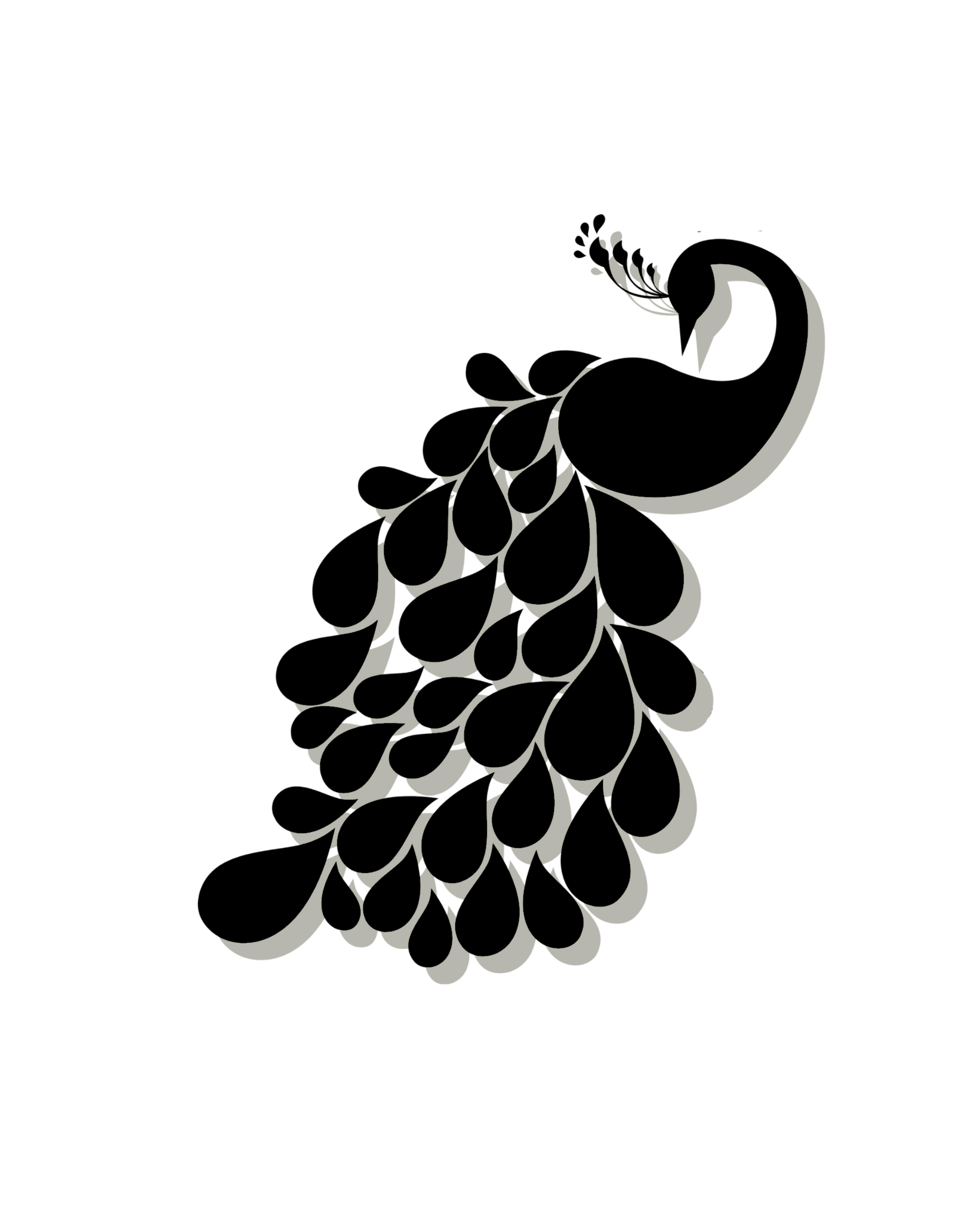 Stylized illustration of a black peacock with a fan of feathers, set against a white background, with its body and feathers forming a sleek silhouette.