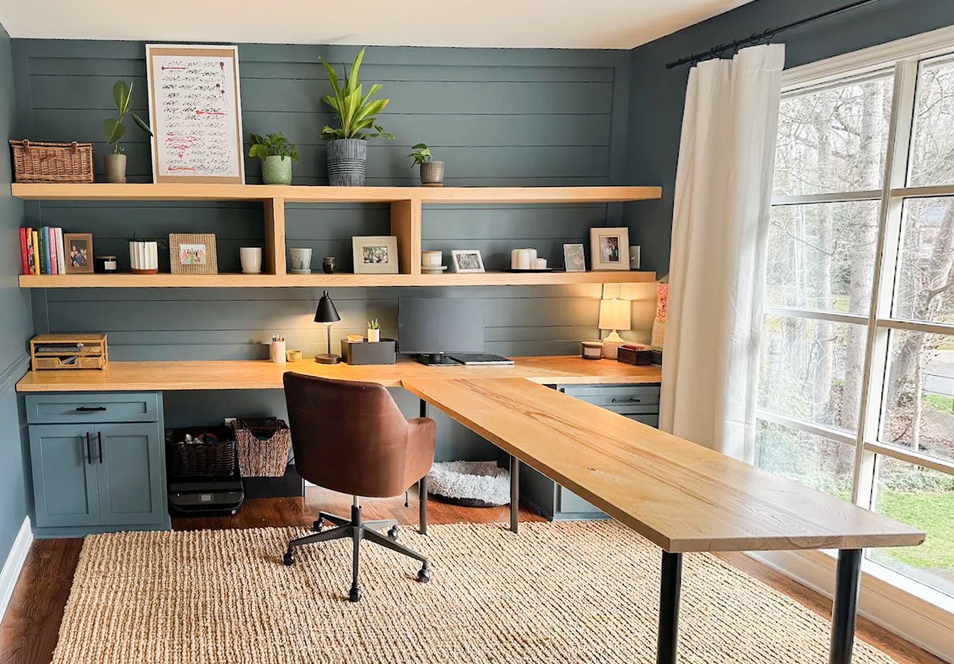 Home office with blue painted wall, wooden desk, brown swivel chair, shelves with framed photos and plants, large window with white curtains, and beige rug.