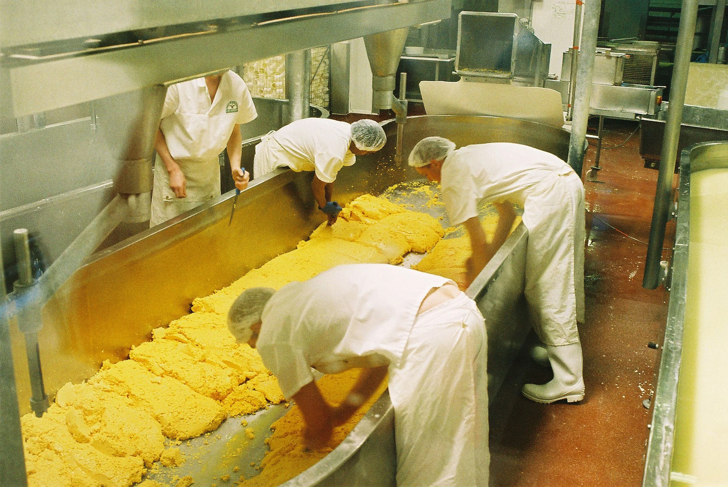 Workers in white uniforms and hairnets working on a large, yellow, textured food product in an industrial kitchen or food processing facility.