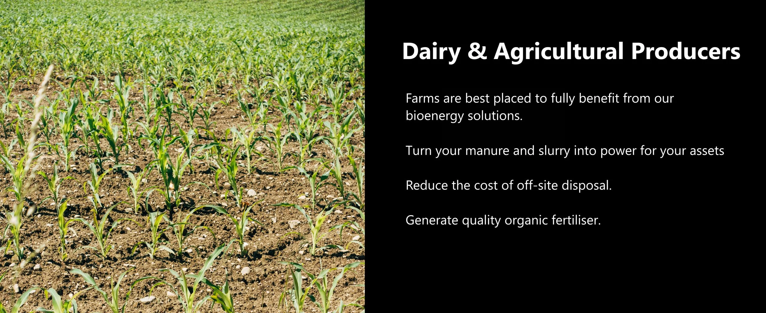 Section Title on the right: Dairy & Agricultural Producers. Provides description on the benefits of bioenergy for dairy and agricultural farms. On the left is a picture of a field with crops.