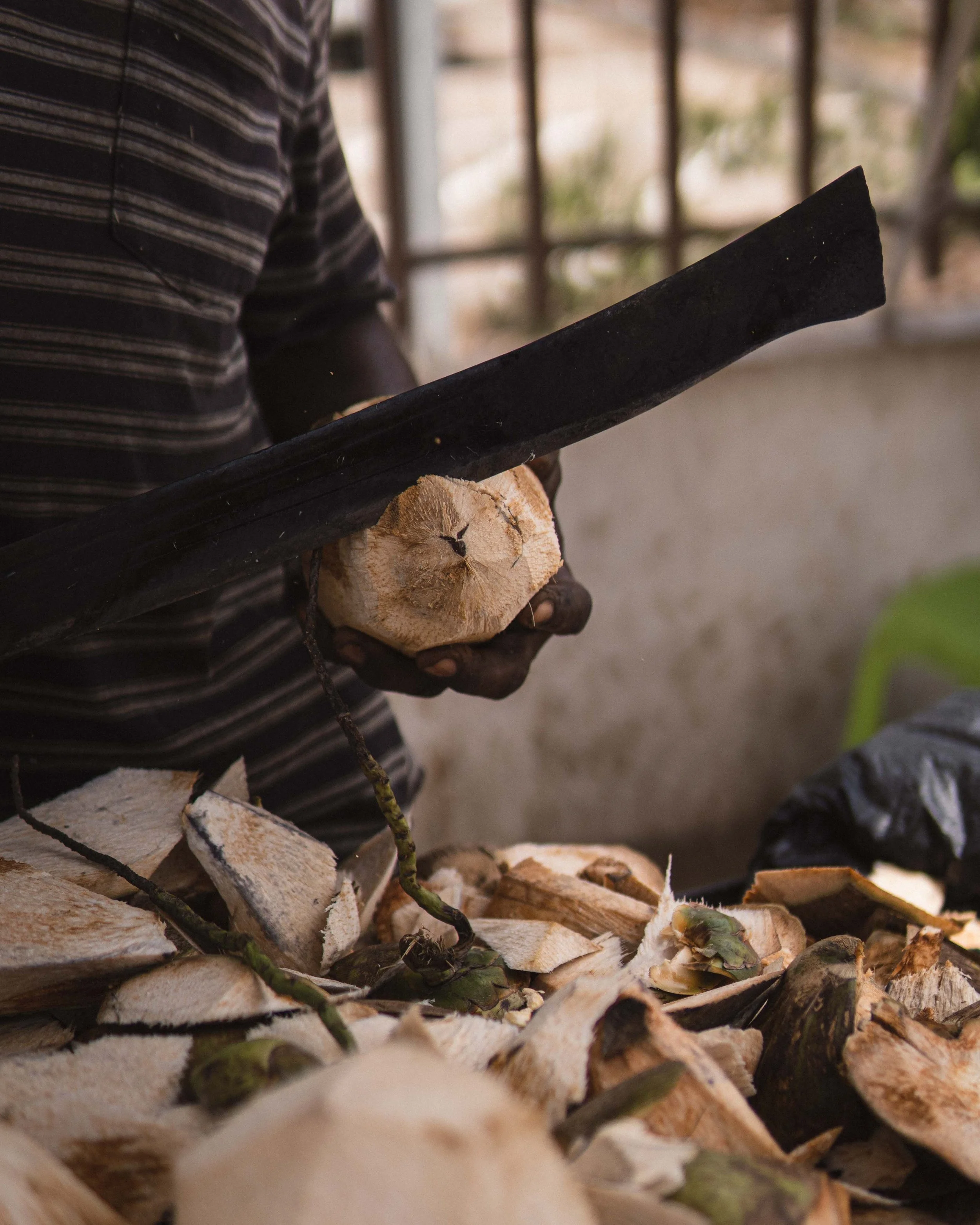 A person wearing a brown and beige striped shirt is holding a machete in their hands, standing near a pile of cut coconut husks. The background shows a fenced outdoor area with blurred trees and a structure.