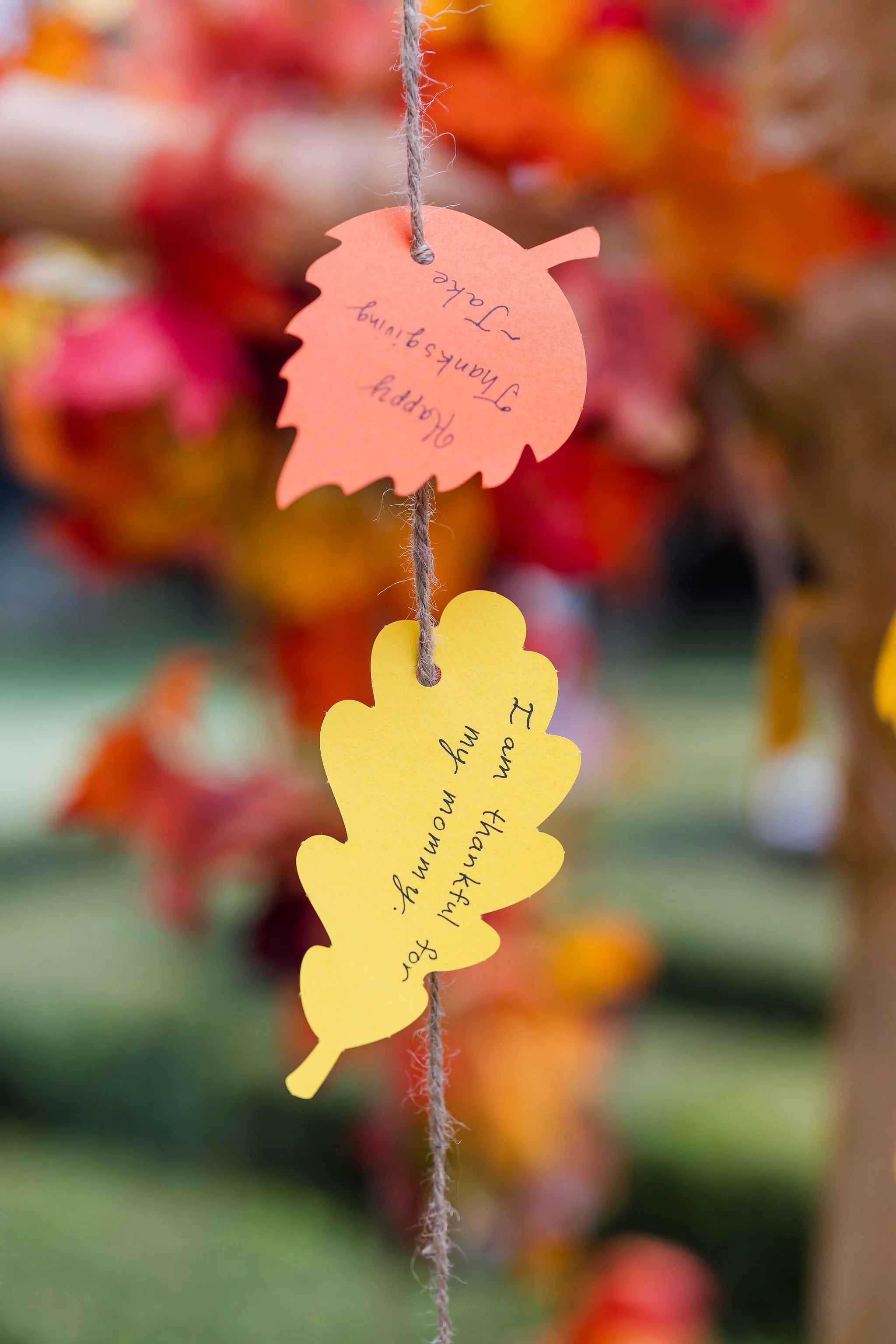 EMM_Fulton_Thanksgiving_2024_CatherineKangPhotography-42.jpg