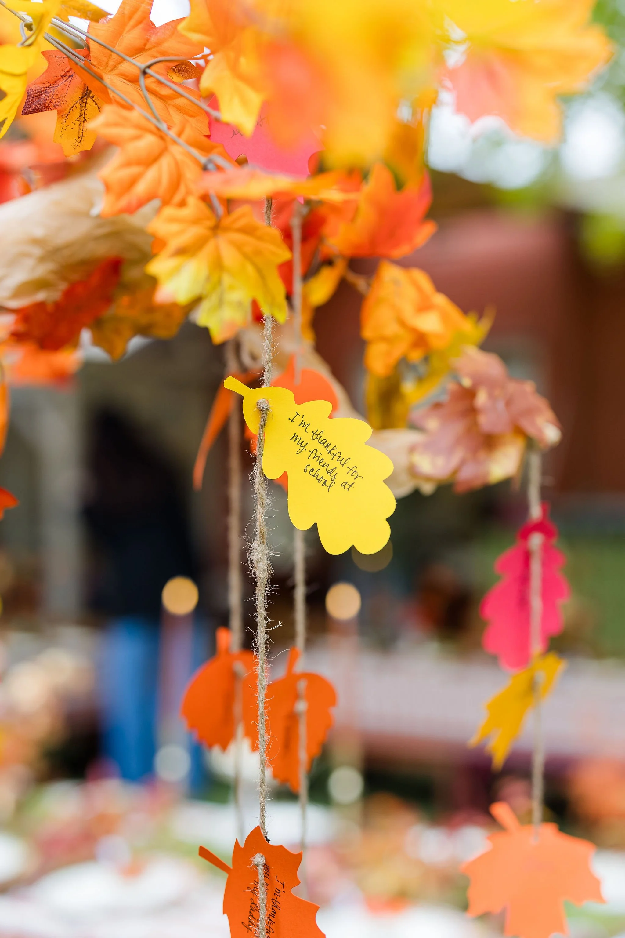 EMM_Fulton_Thanksgiving_2024_CatherineKangPhotography-45.jpg