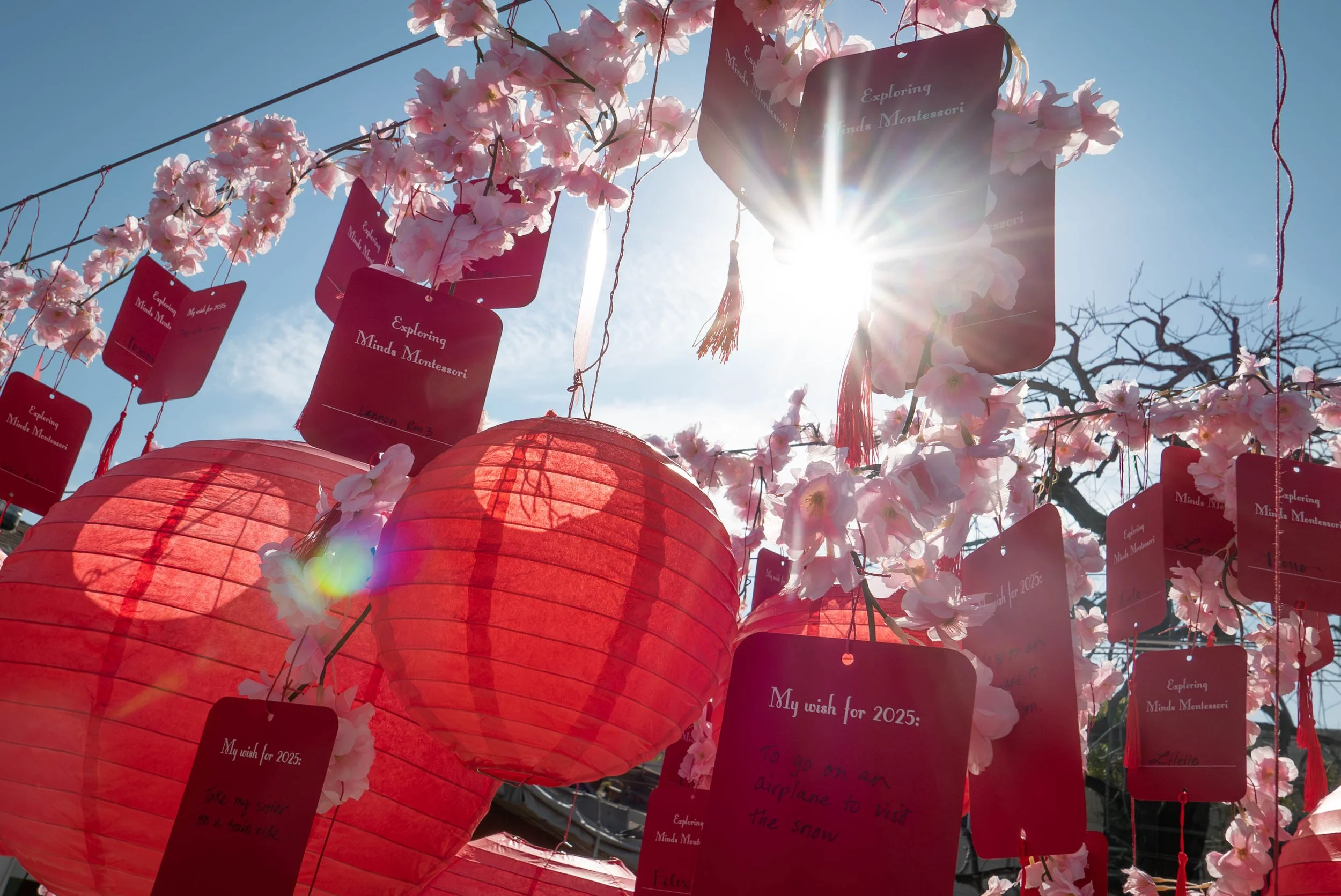 EMM-Lunar2025_Lanterns-2.jpg