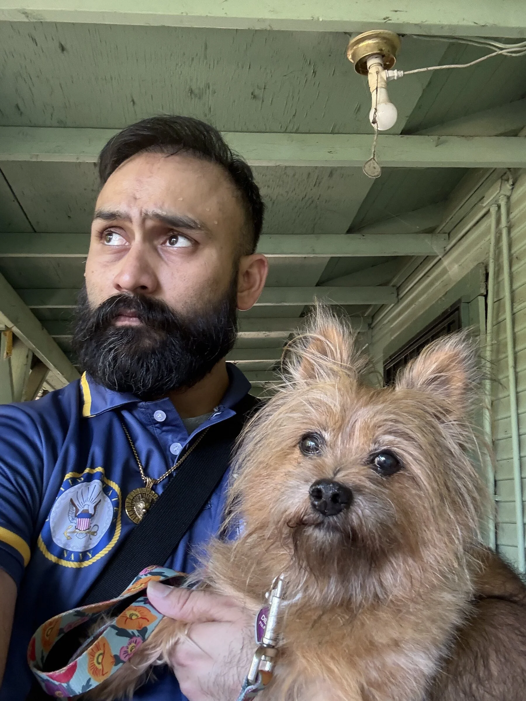 lifestyle-dog-portrait.jpg