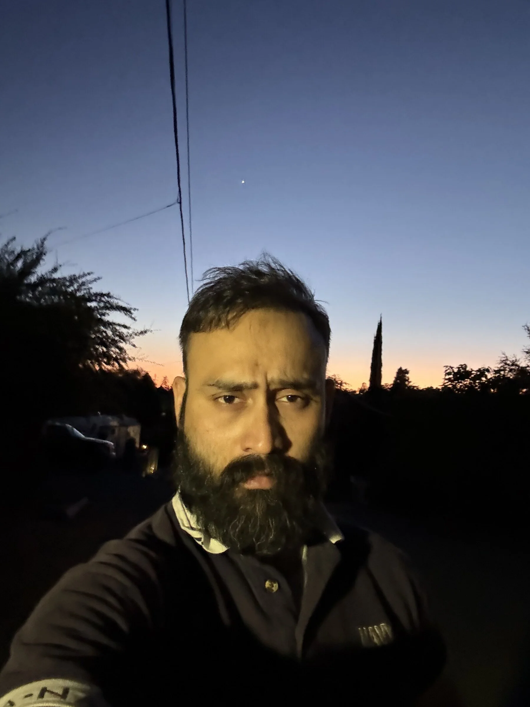 ProfessorDrAlchemy in a contemplative twilight portrait.