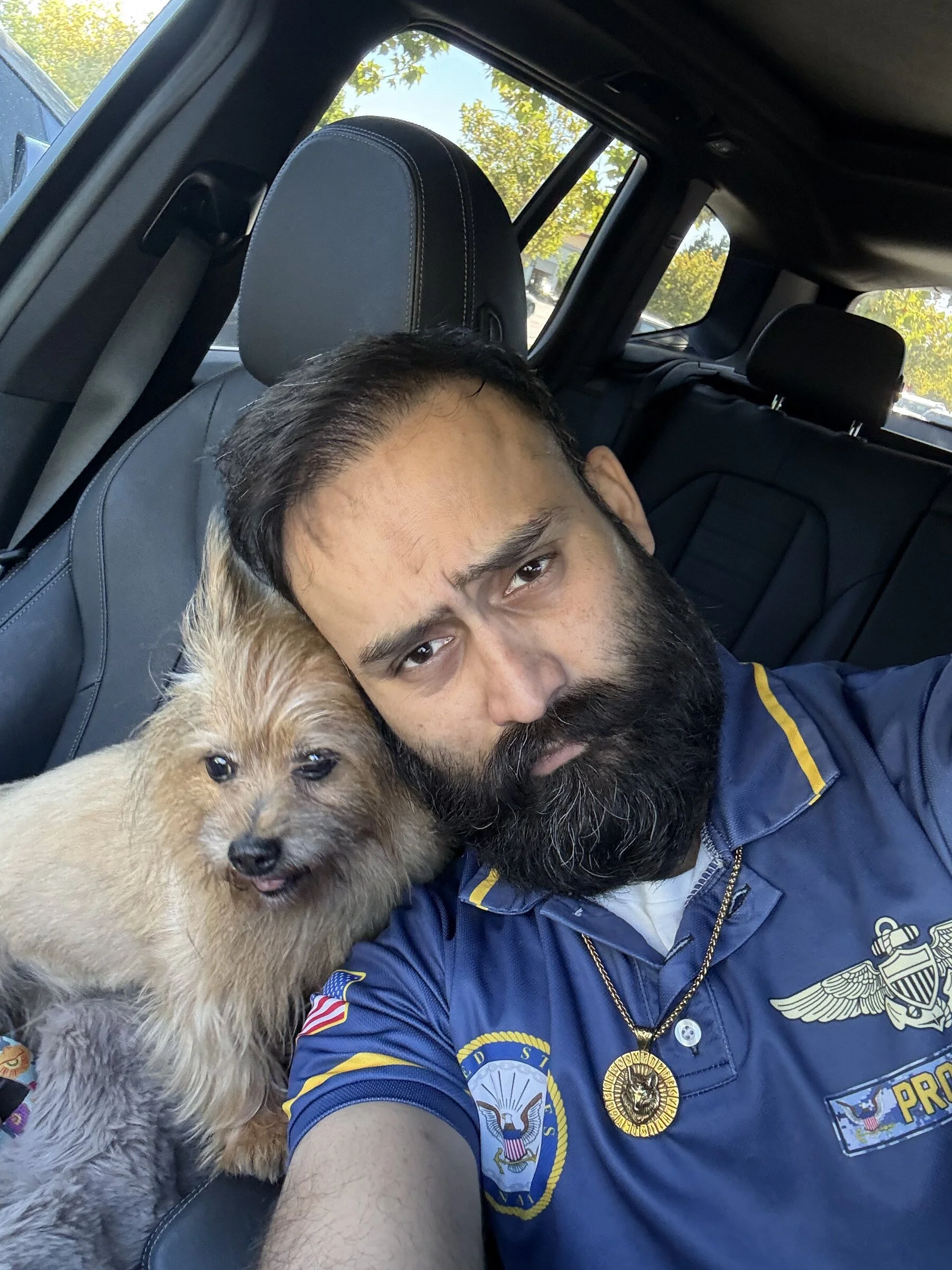 lifestyle-dog-car.jpg