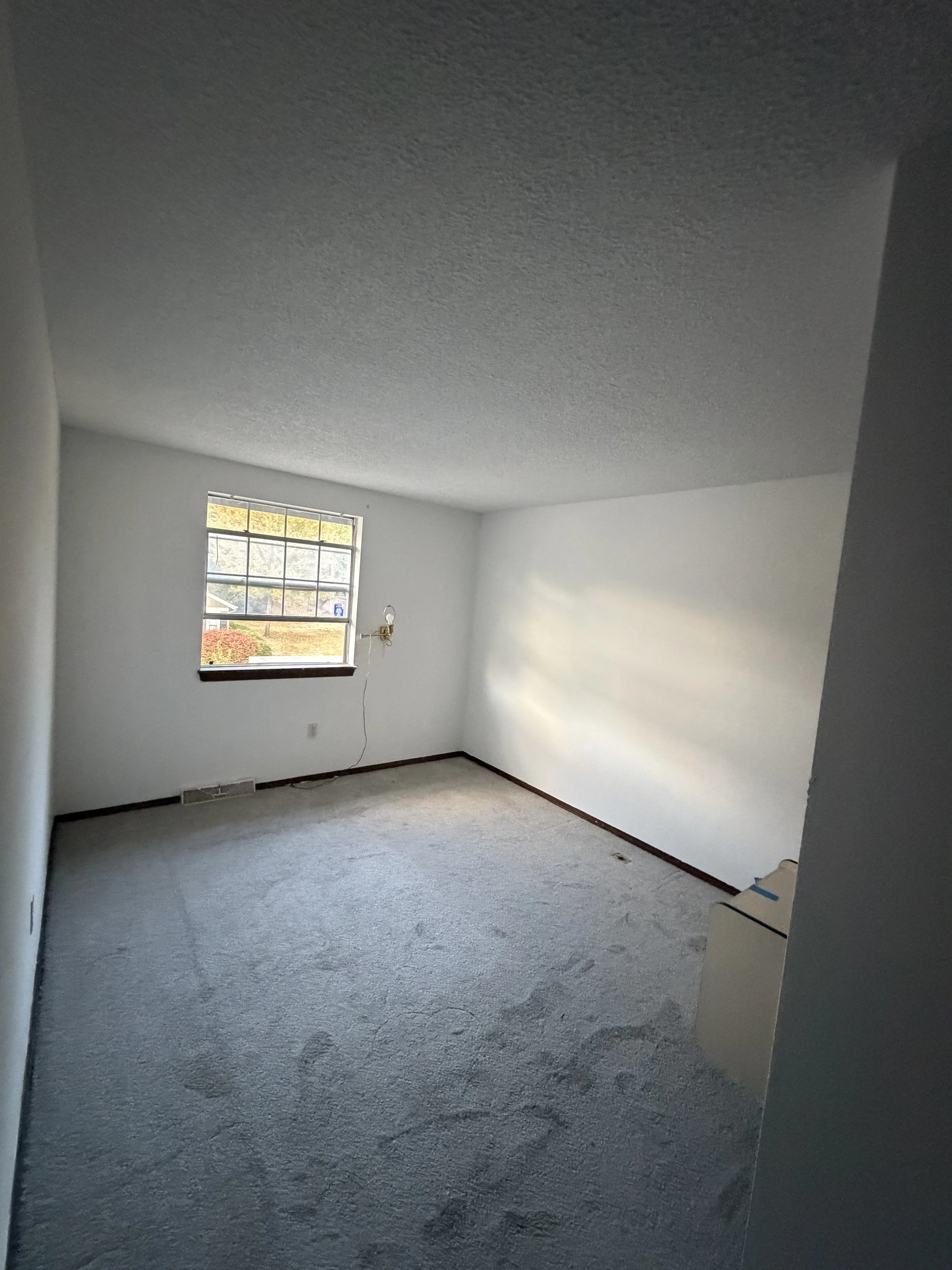 wallnceilings2.jpeg