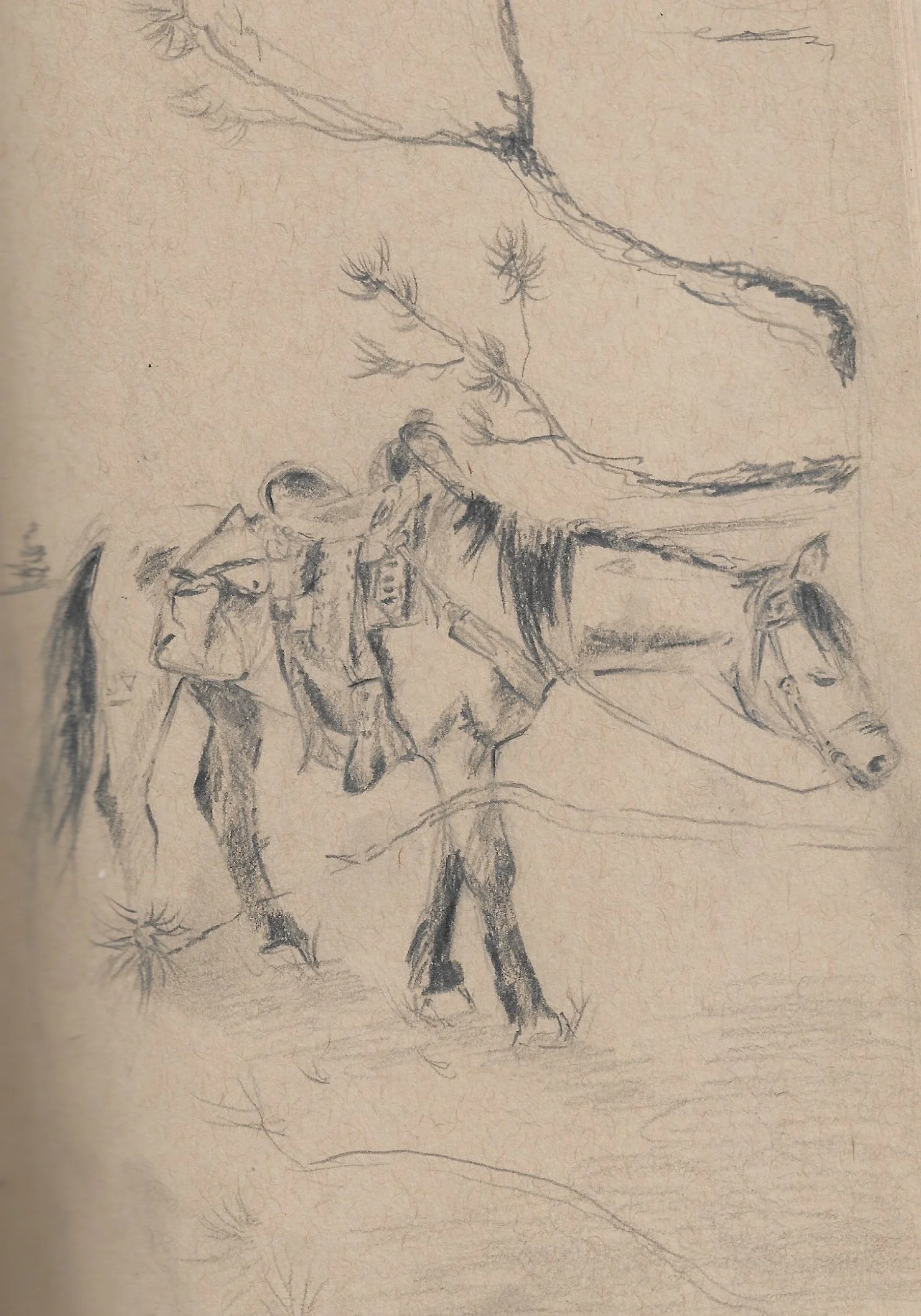 Drawings