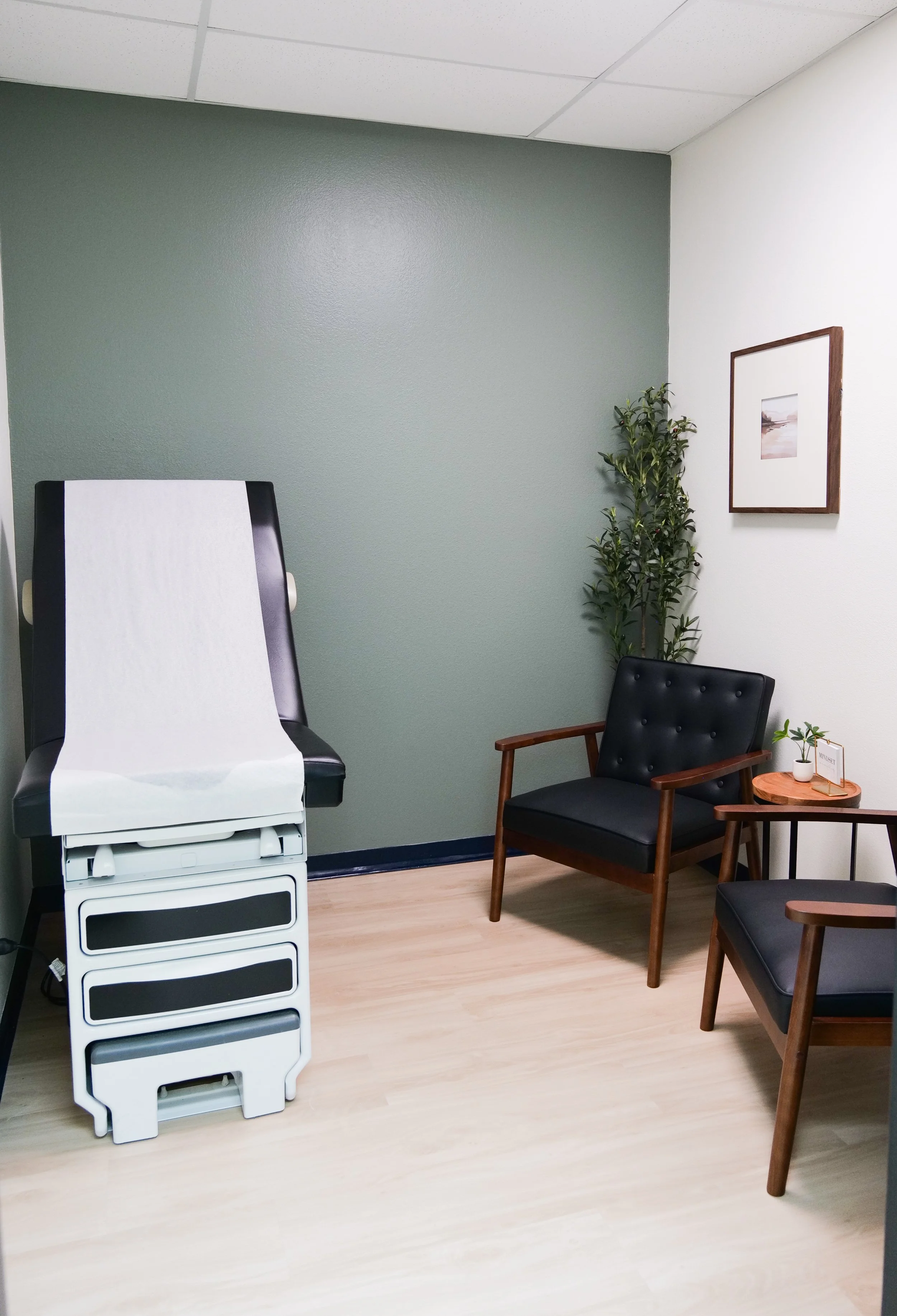 A medical examination room with two chairs, a small round table, a tall plant in the corner, and a framed picture on the wall. There is also a medical examination chair.