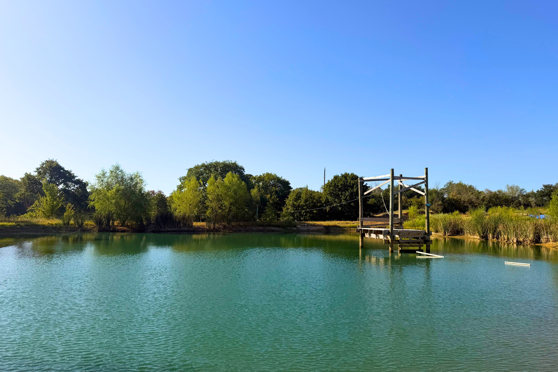 A calm body of water with a wooden structure extending into it, surrounded by lush green trees and bushes under a clear blue sky.