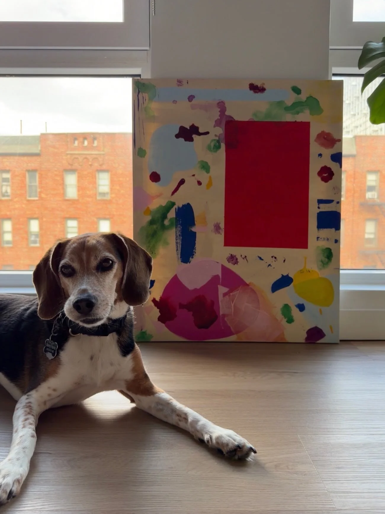 24 | acrylic paint on canvas | 24 x 30

studio inspection