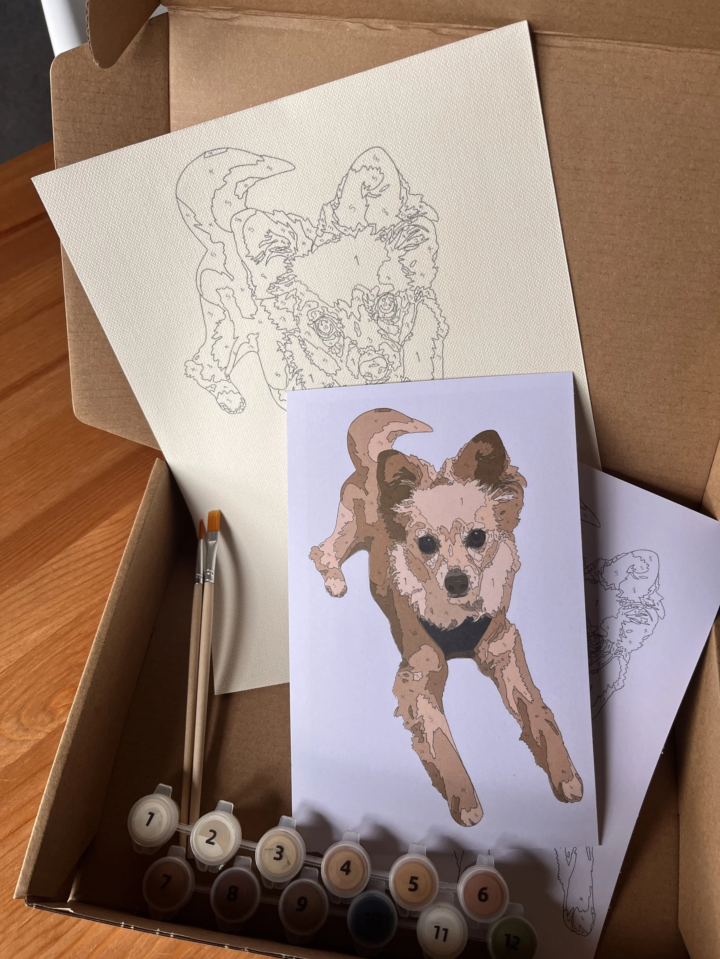 Custom Paint By Number Pet Kits
