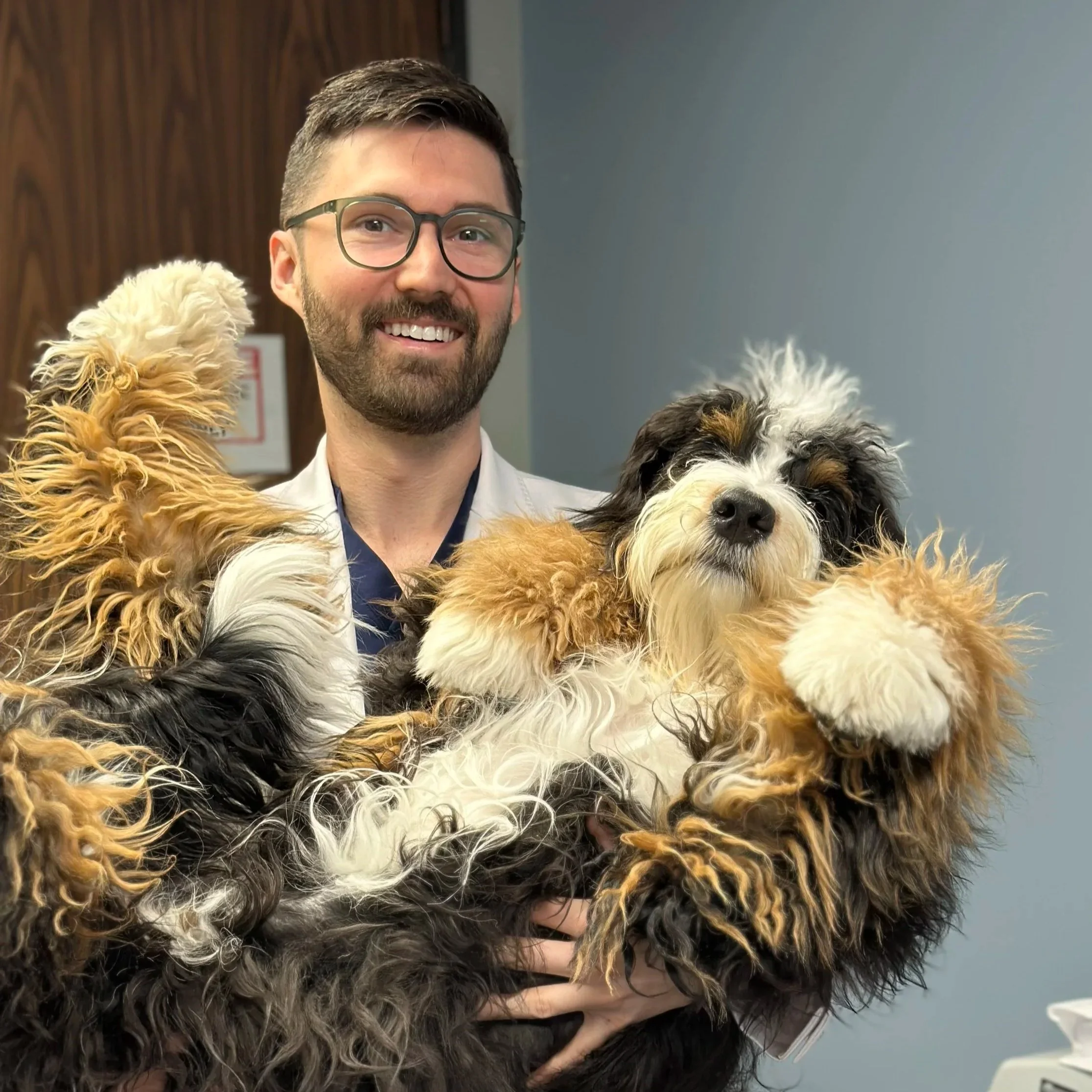 A man with glasses holding a fluffy, tan and black dog with curly fur. The man's face and part of the dog are visible in the image.
