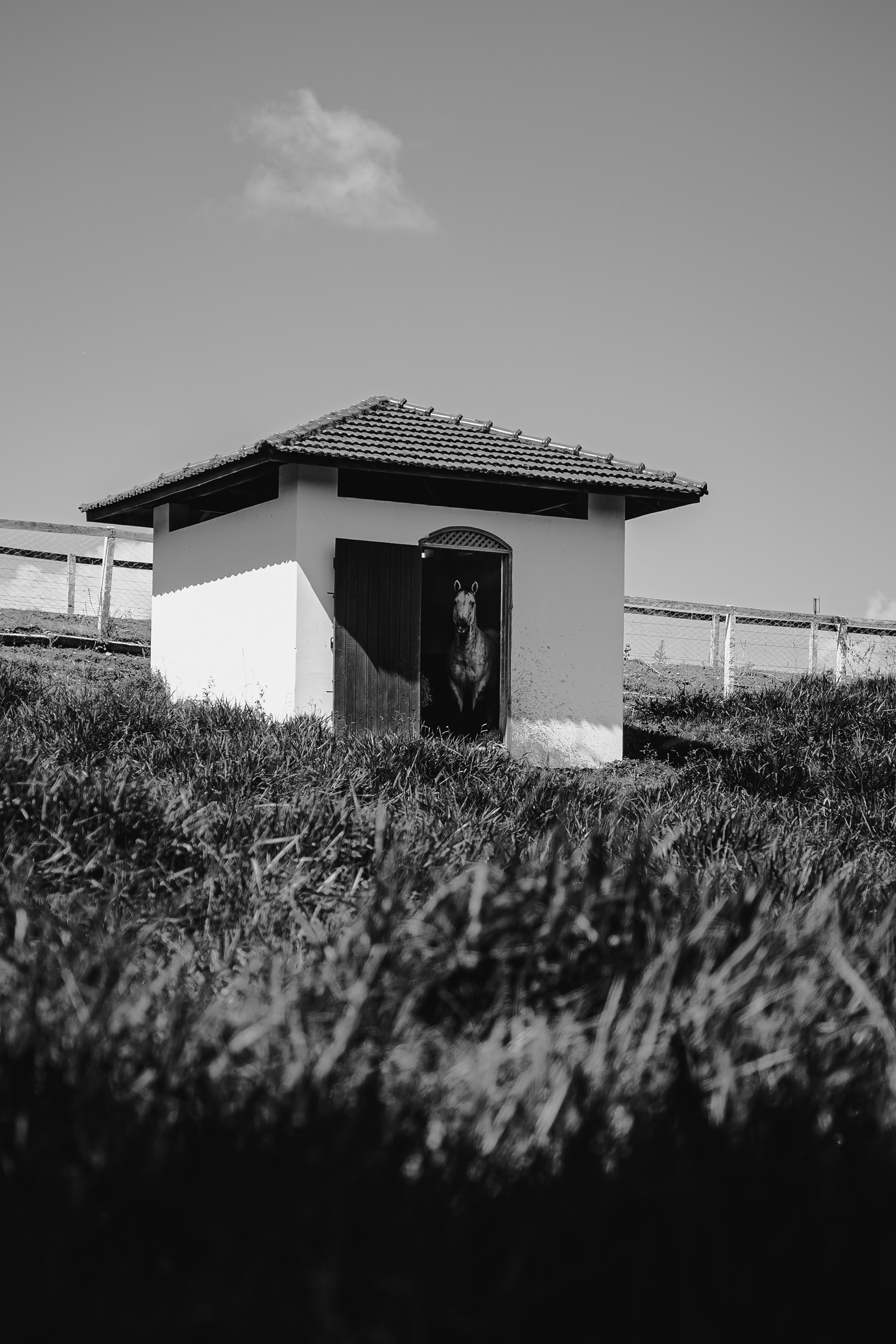 FAZENDA PURAFE_64.png