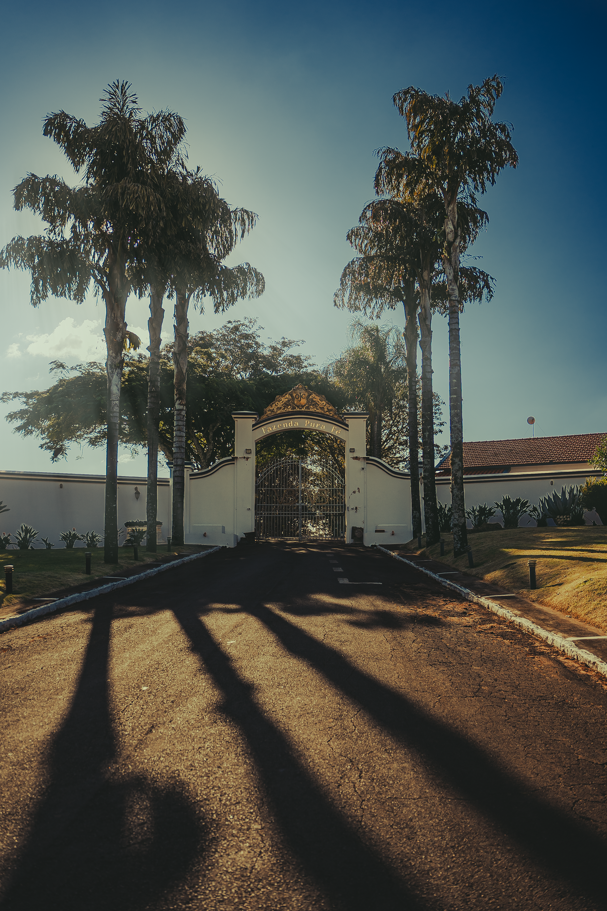 FAZENDA PURAFE_93.png