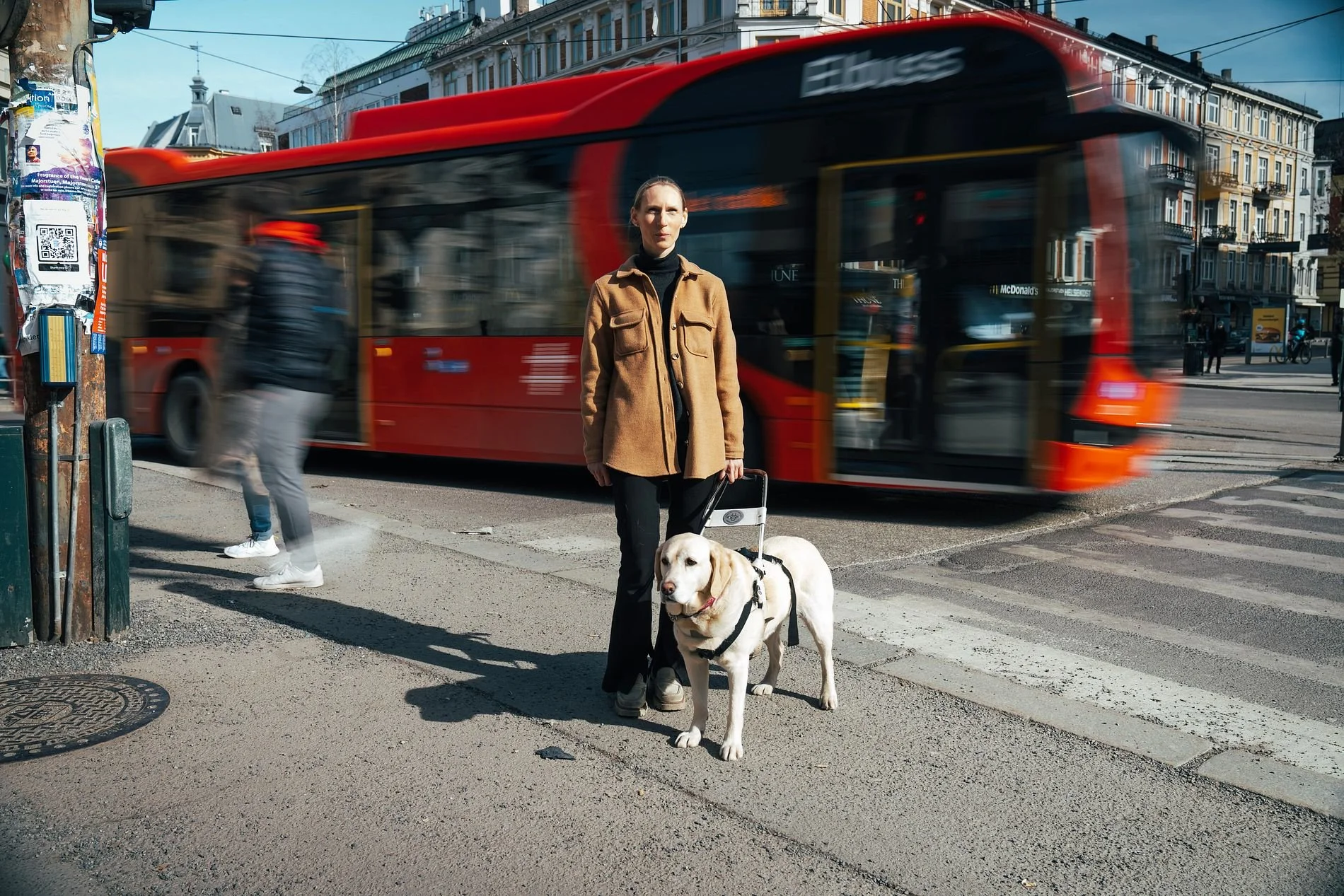 1 av 5 førerhunder har blitt angrepet.
En av de største utfordringene synshemmede opplever er at førerhunden forstyrres på jobb. Vi tok en tur ut i Bogstadveien for å se selv.
