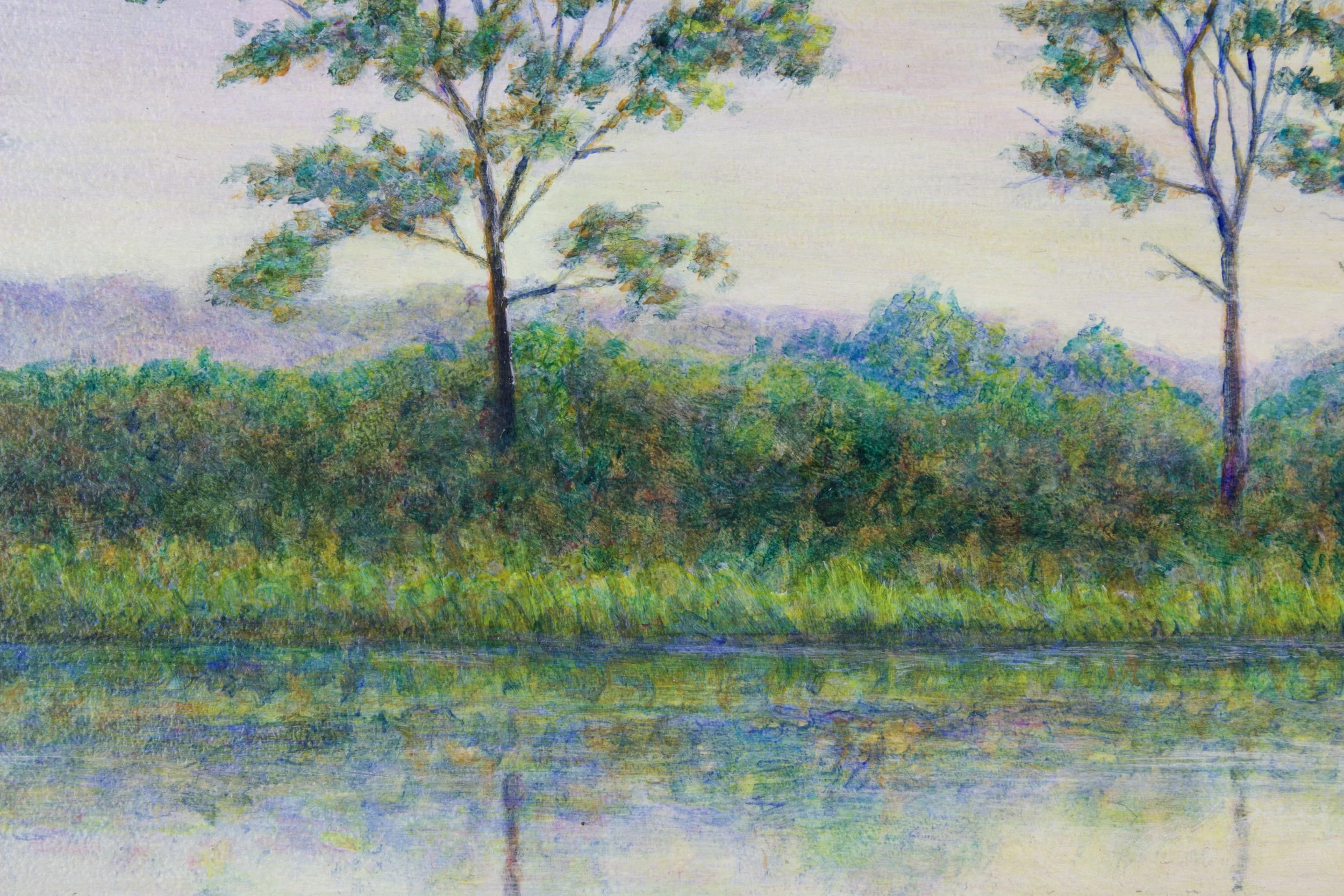 Marsh Dawn2.jpeg