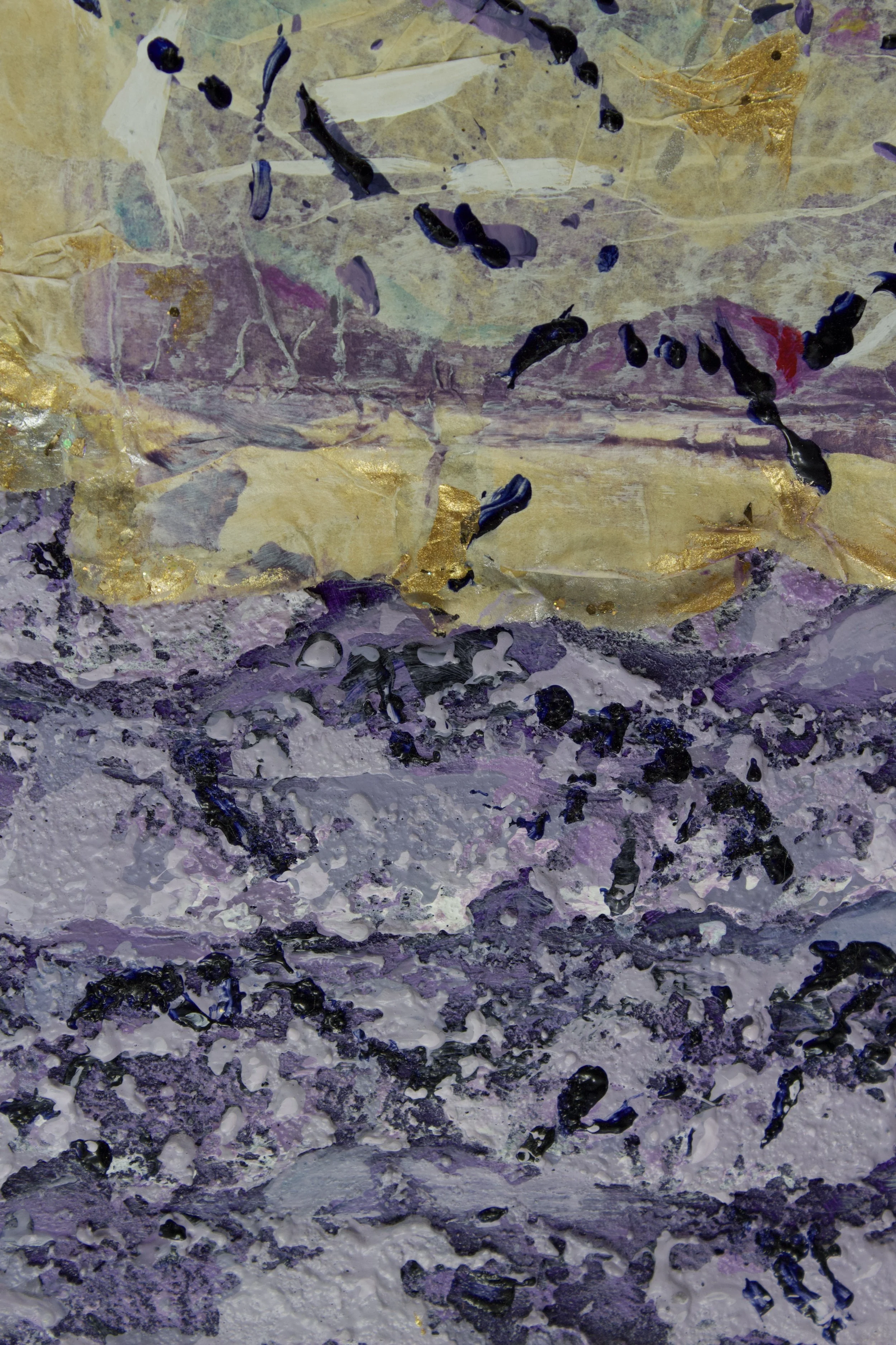 Tidal Pool & Shells4.jpeg