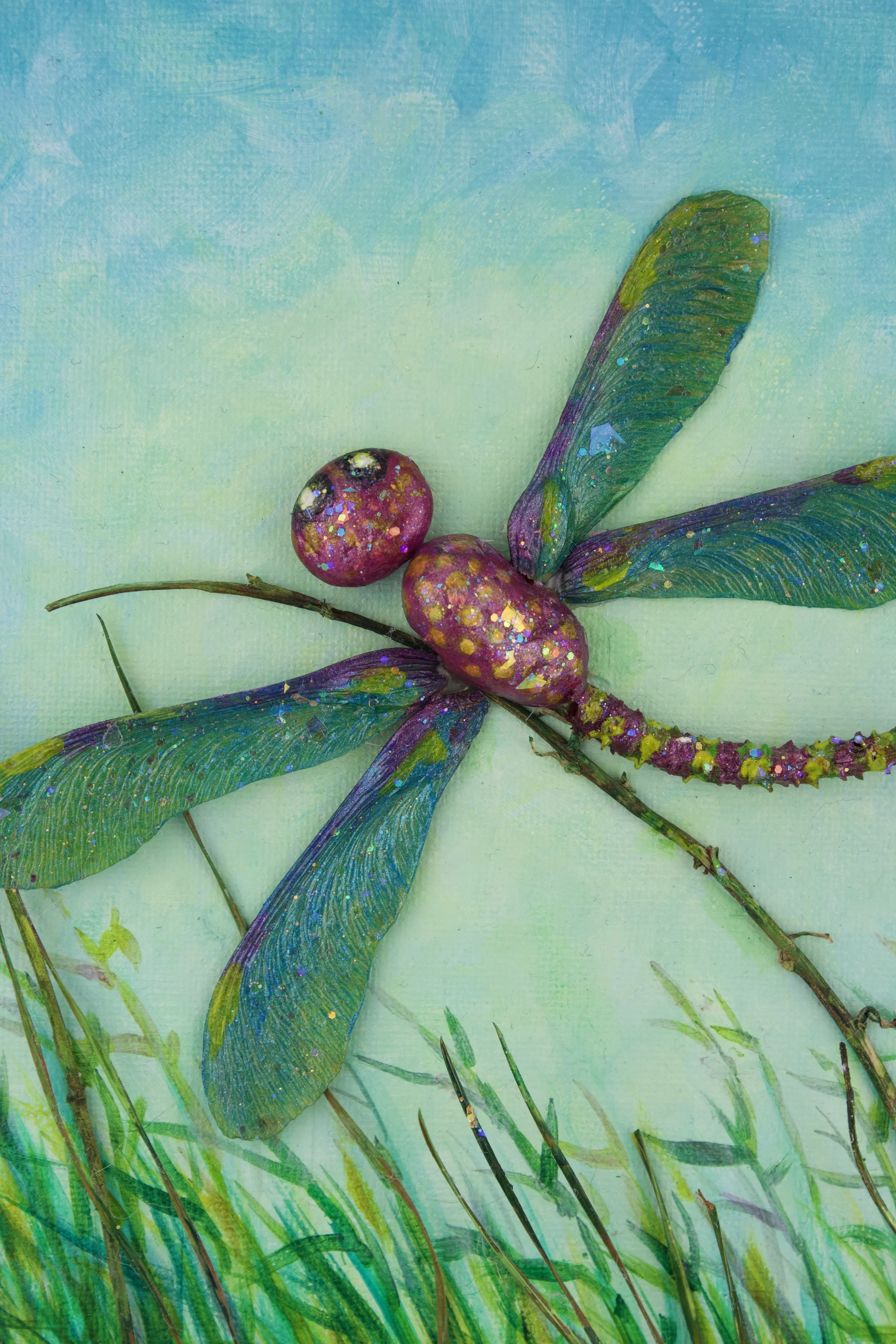 Marsh Dragonfly2.jpeg