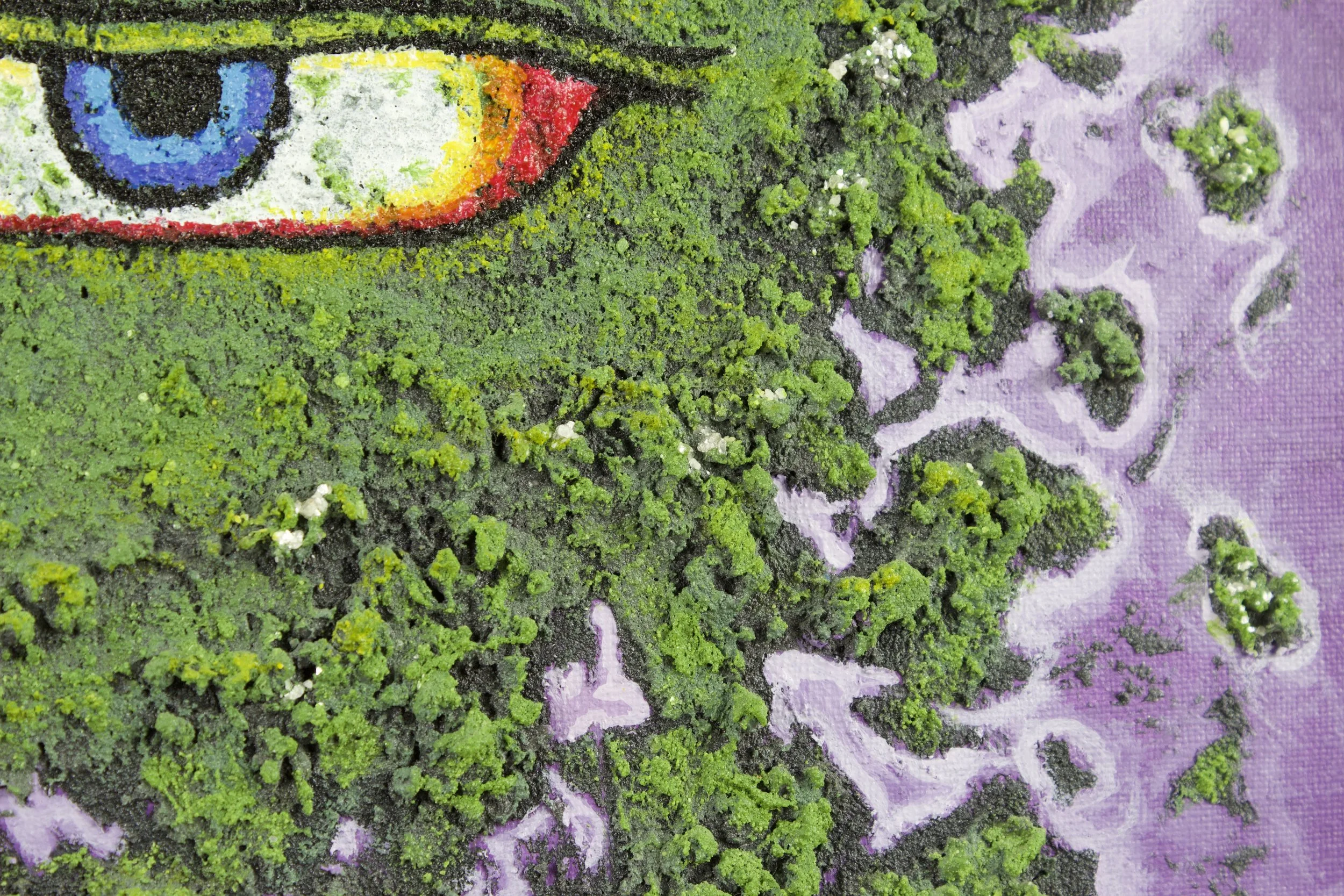 Buddha Eyes Forest4.jpeg