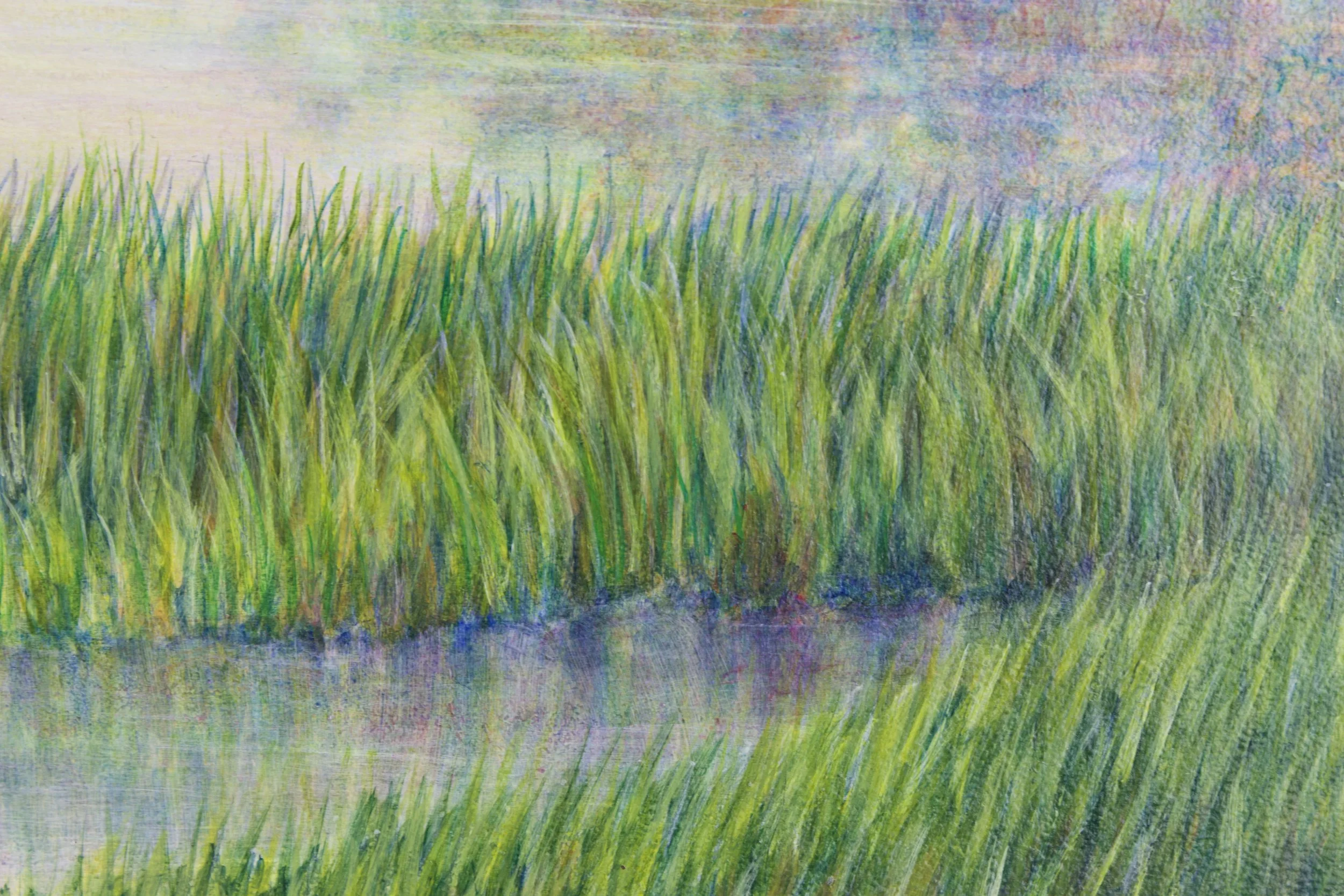 Marsh Dawn3.jpeg
