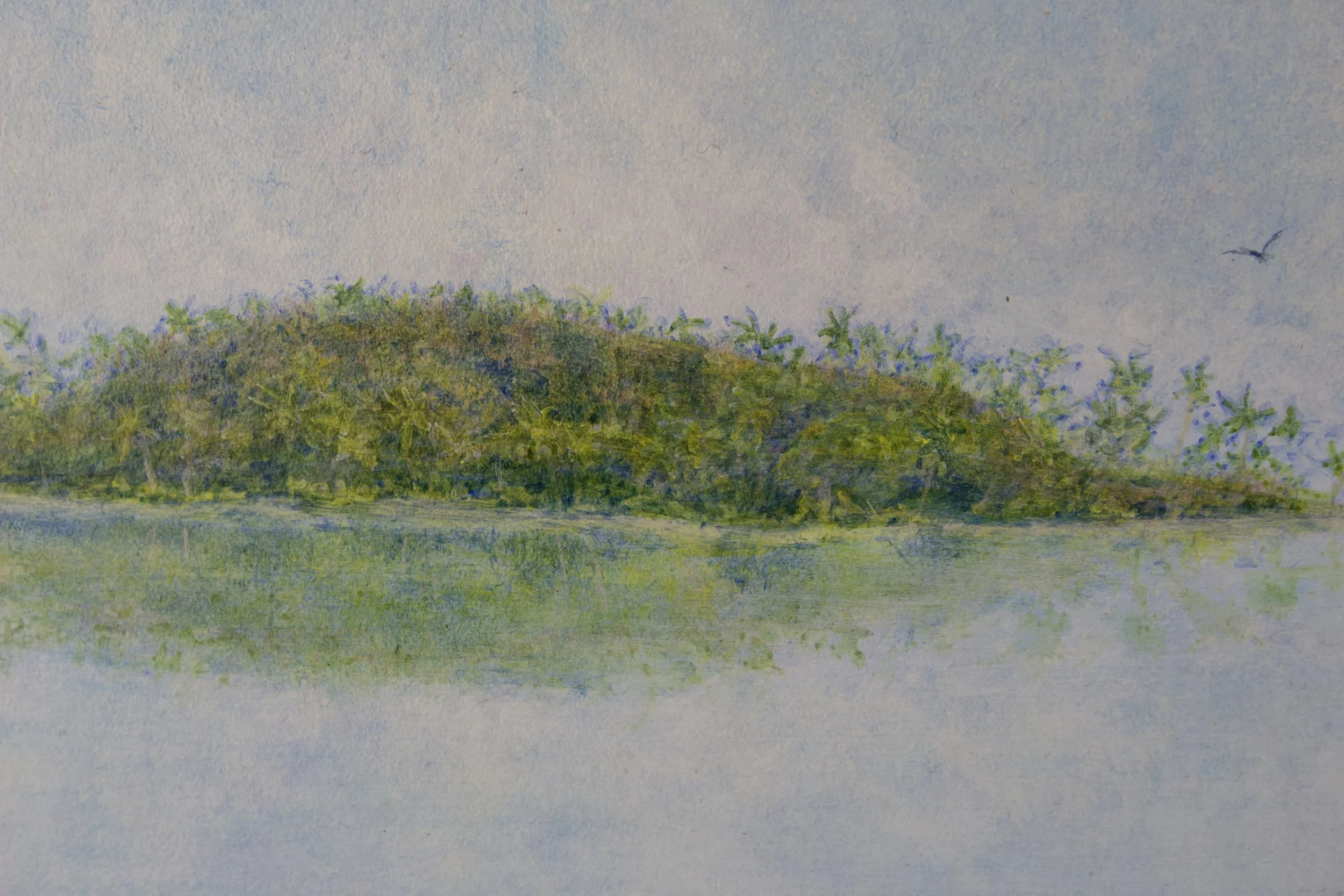 Islands3.jpeg