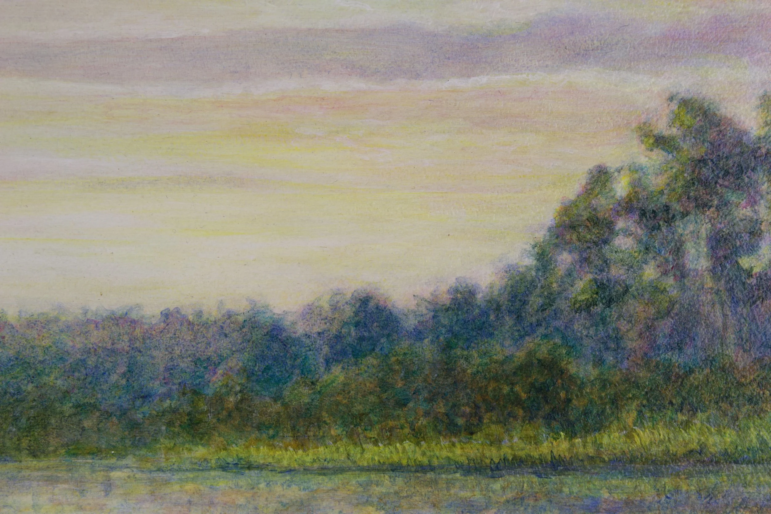 Marsh Dawn5.jpeg