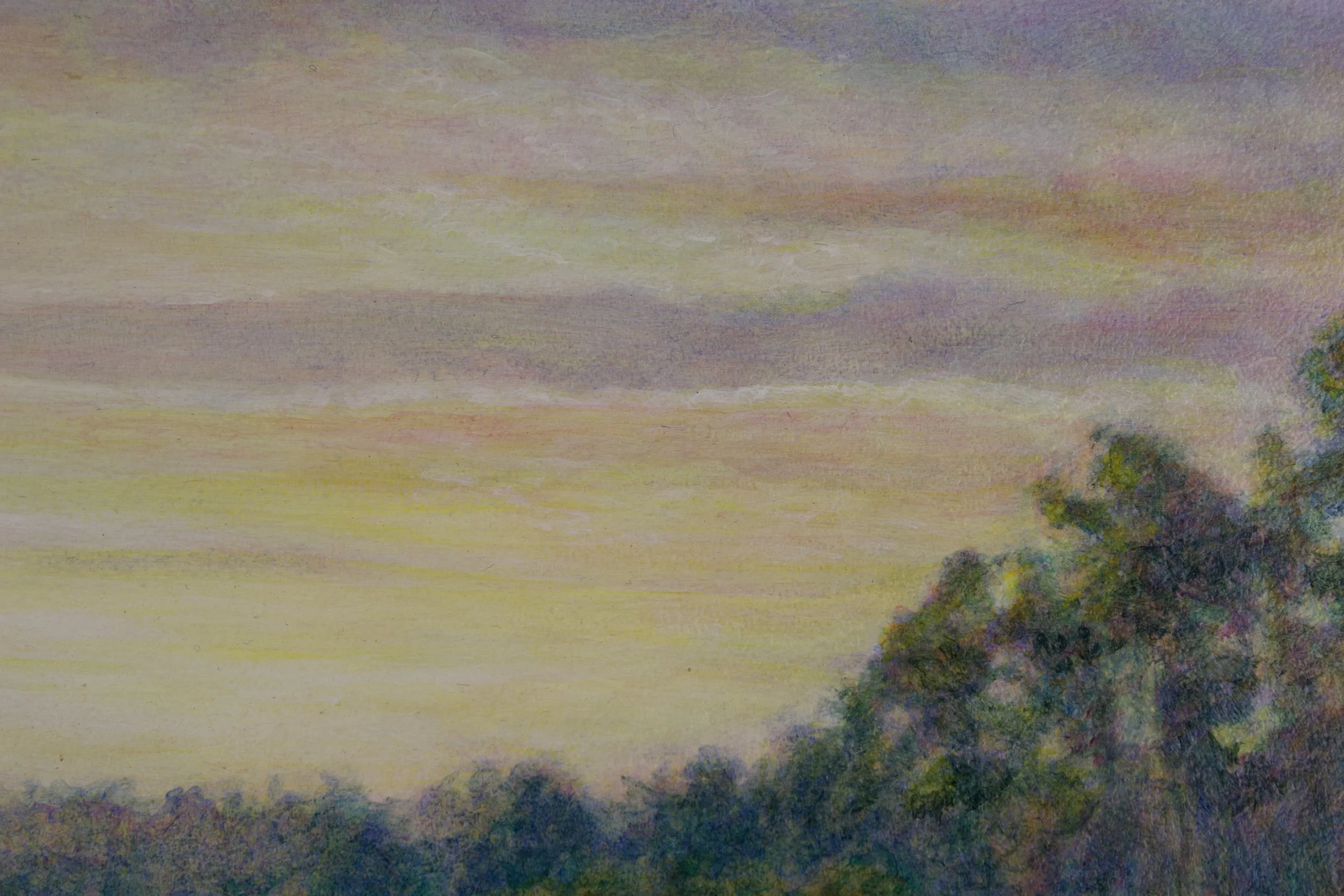 Marsh Dawn4.jpeg