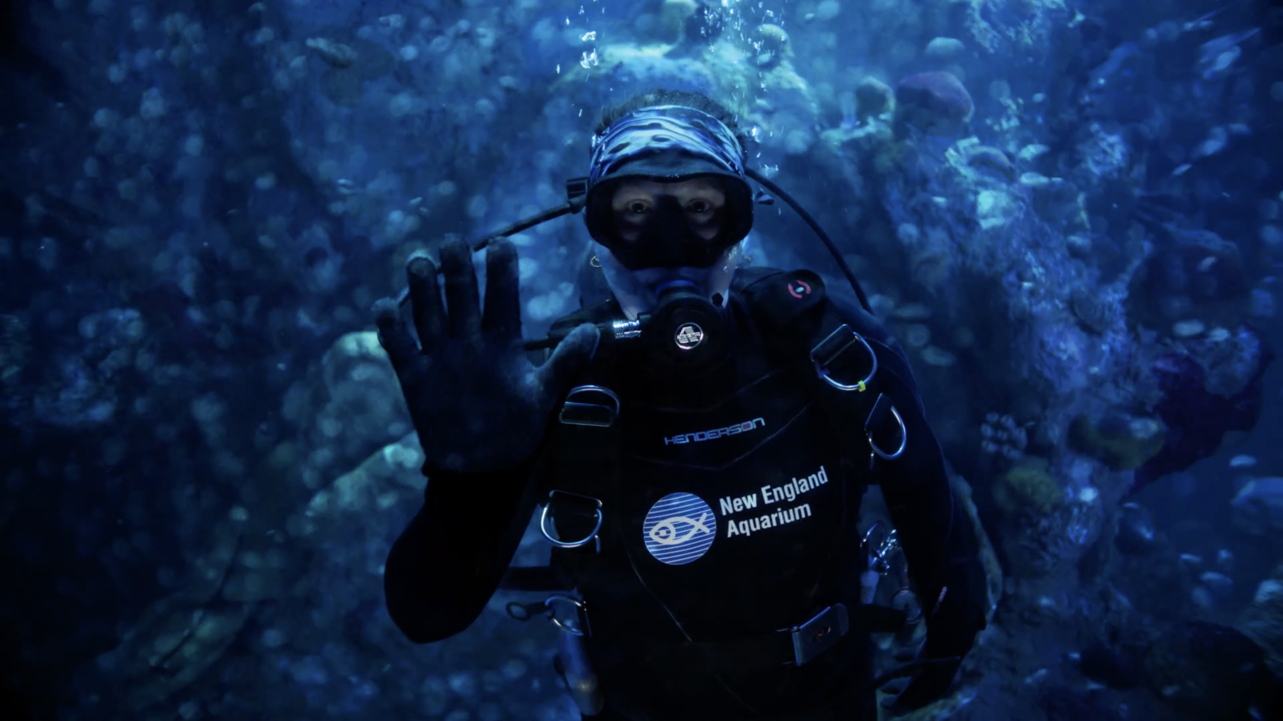 New England Aquarium