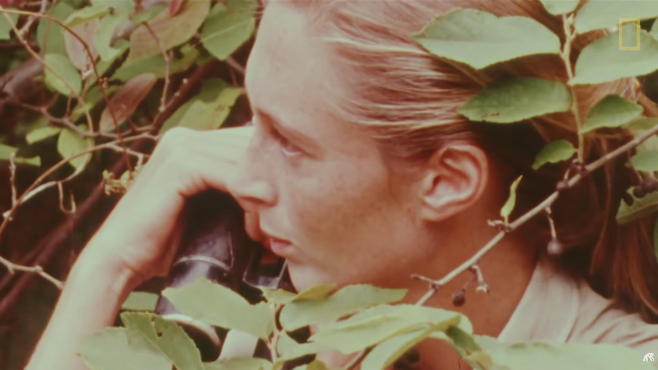 The Jane Goodall Institute