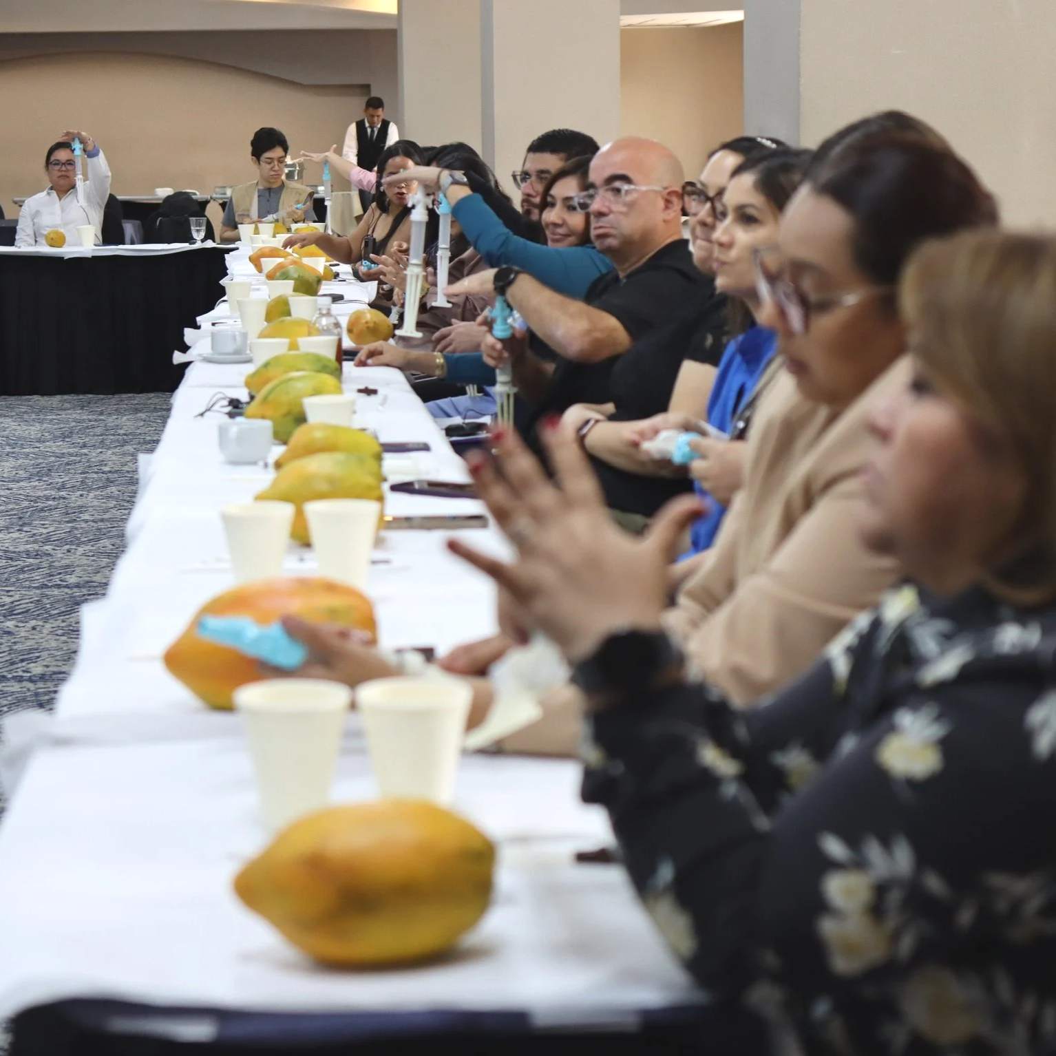 People sitting at a long table with fruit and cups, participating in a workshop or conference.