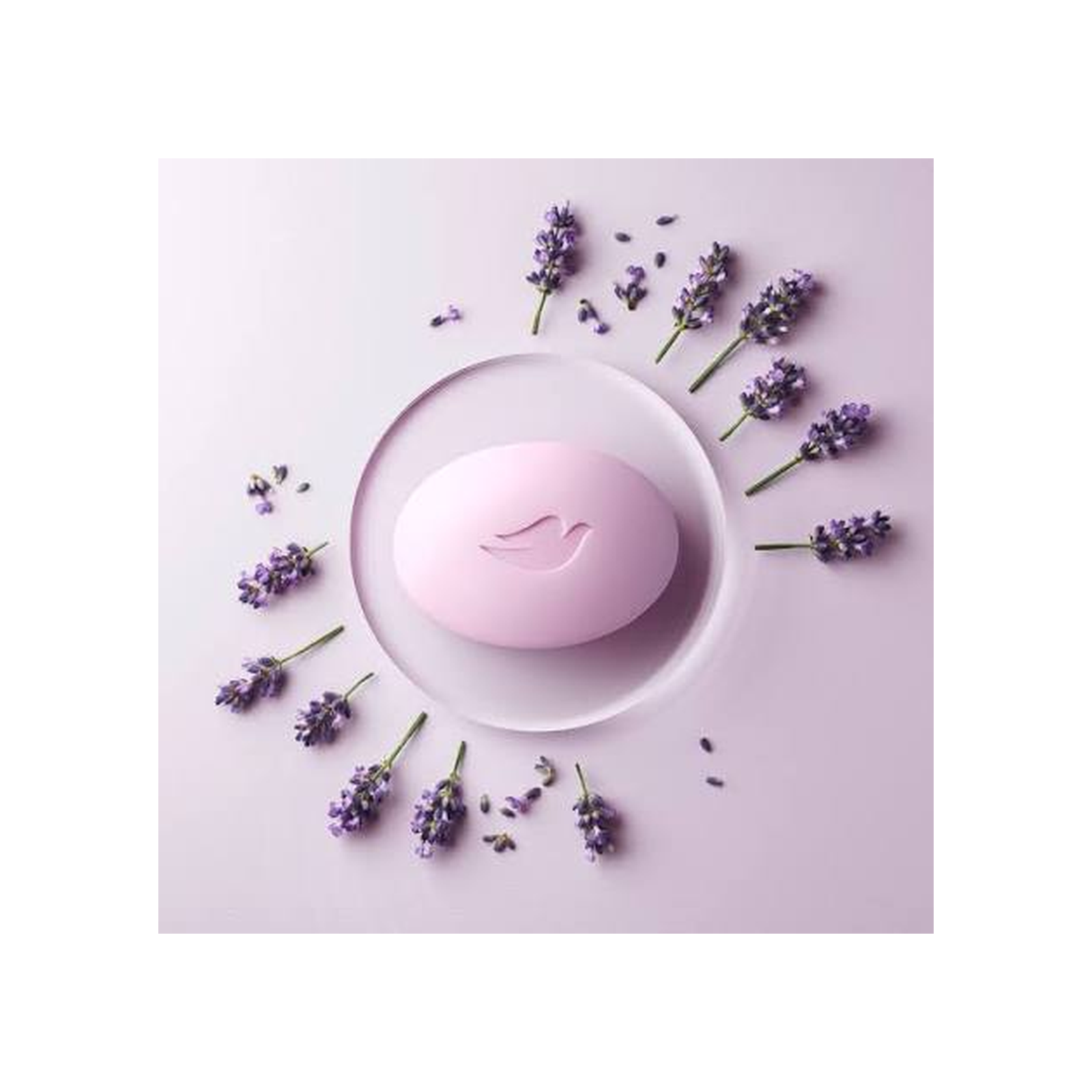 dove_lavender_lifestyle_squarespace_ready.png