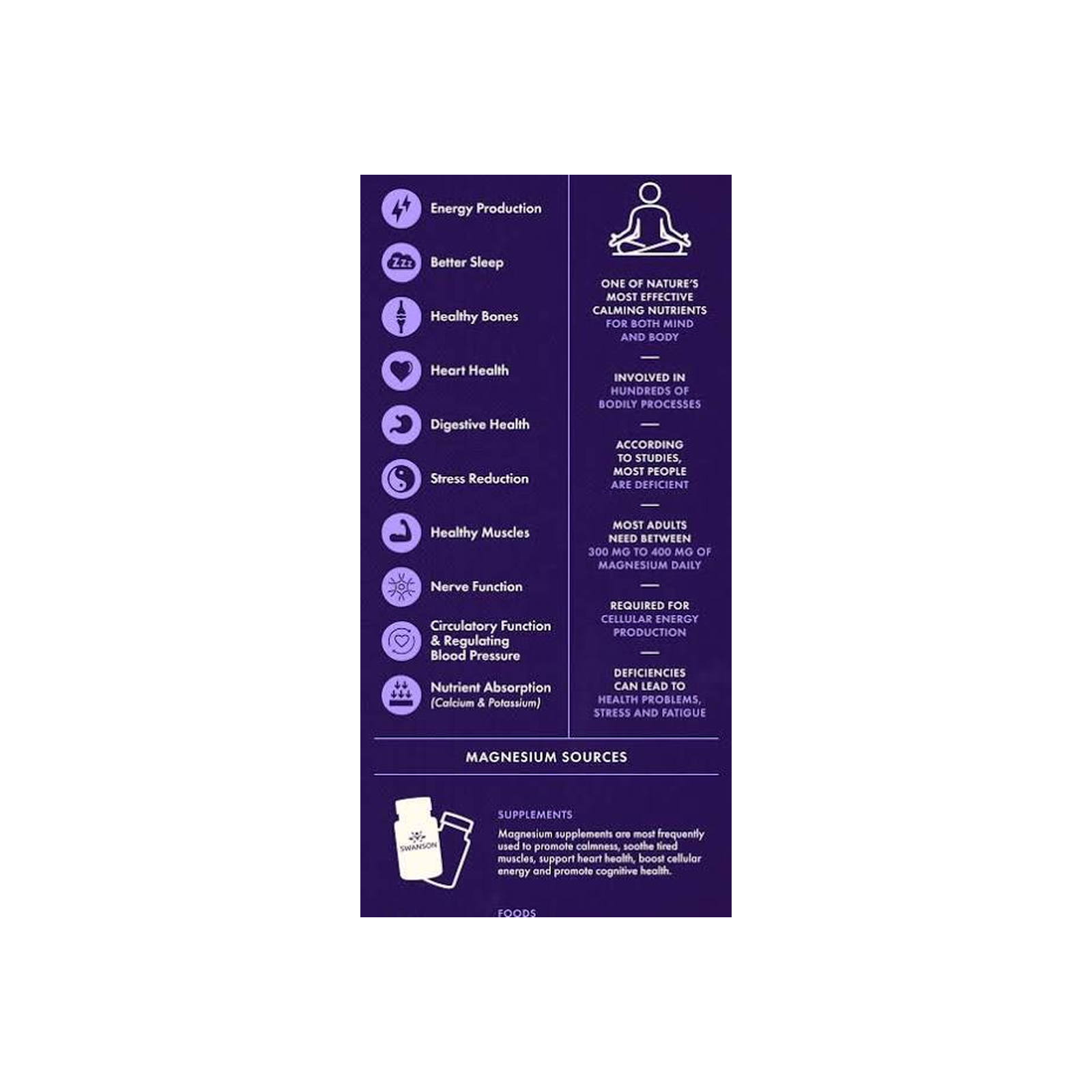 magnesium_benefits_infographic_squarespace_ready.png