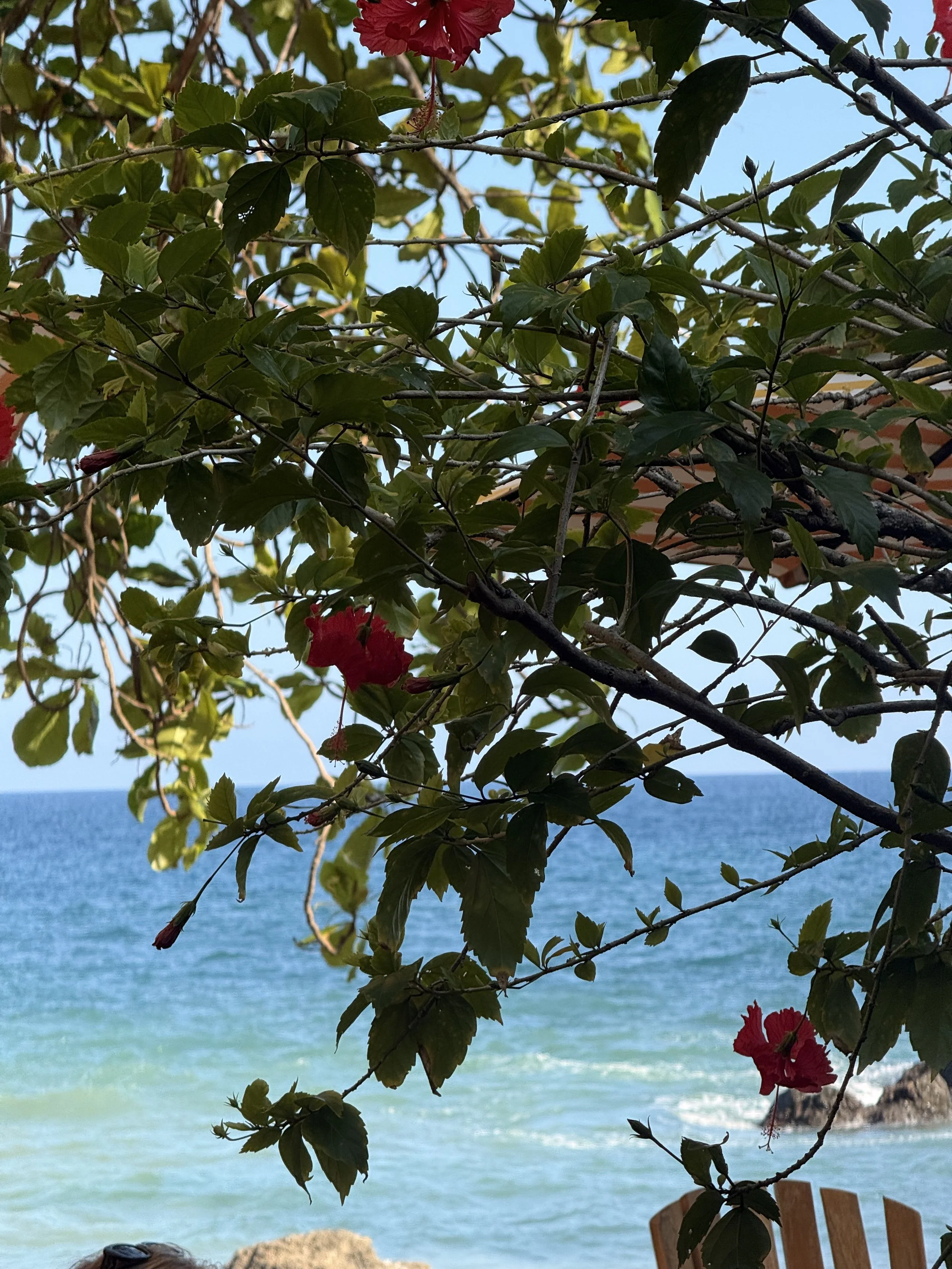 Wellness Retreat | Costa Rica