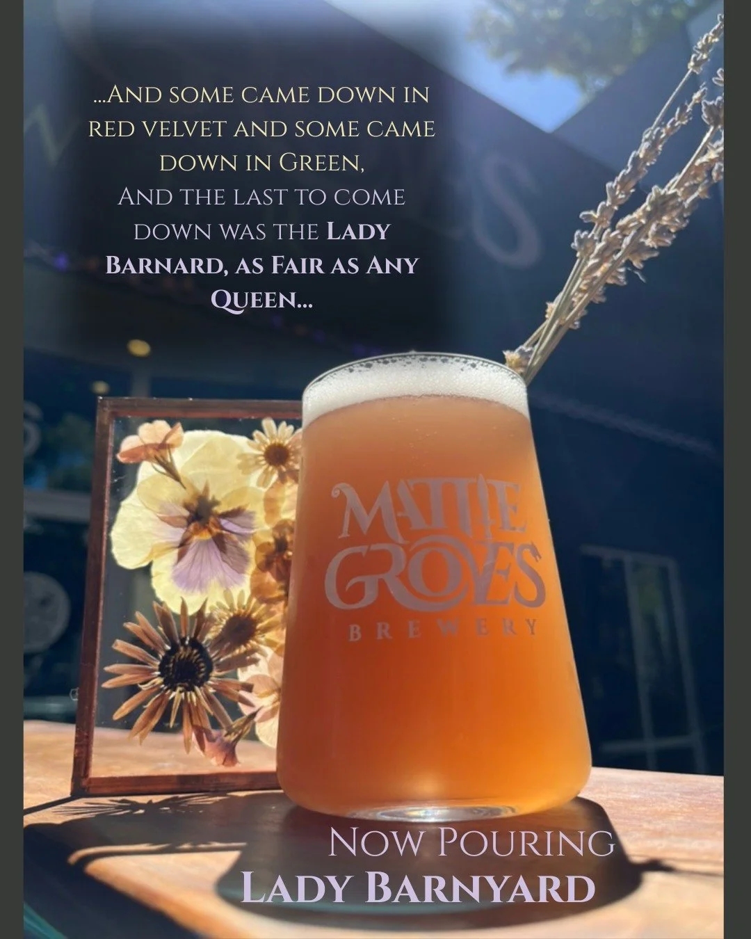 She's back, friends! As we continue to fine tune the recipe, this batch emphasizes late addition blueberry puree and a slightly sharper tartness. Radiant and perfect as we round into late Summer.

Cheers 🍻

#ladybarnyard #slightlysour #summerquenche