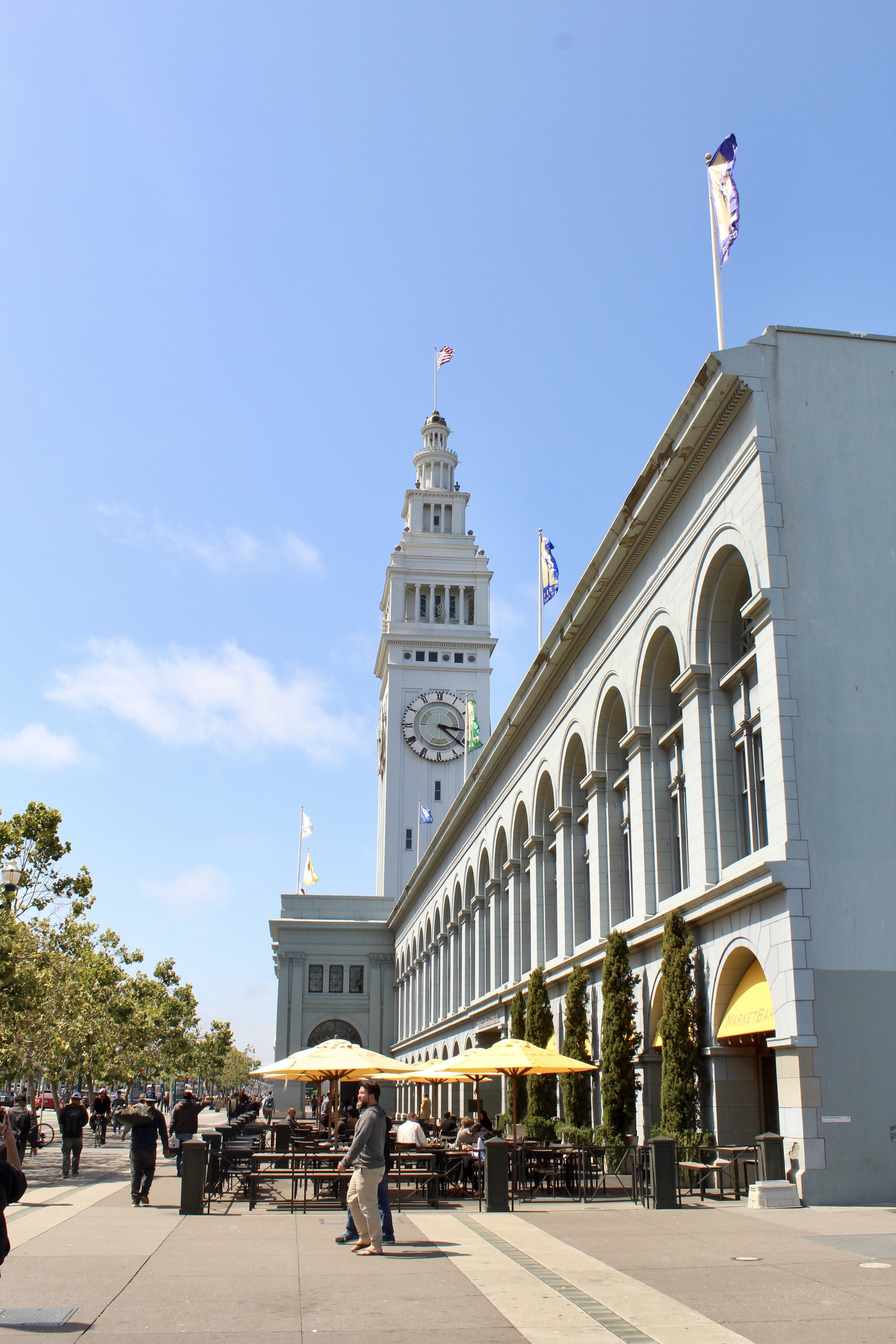 IMG_3547.jpg