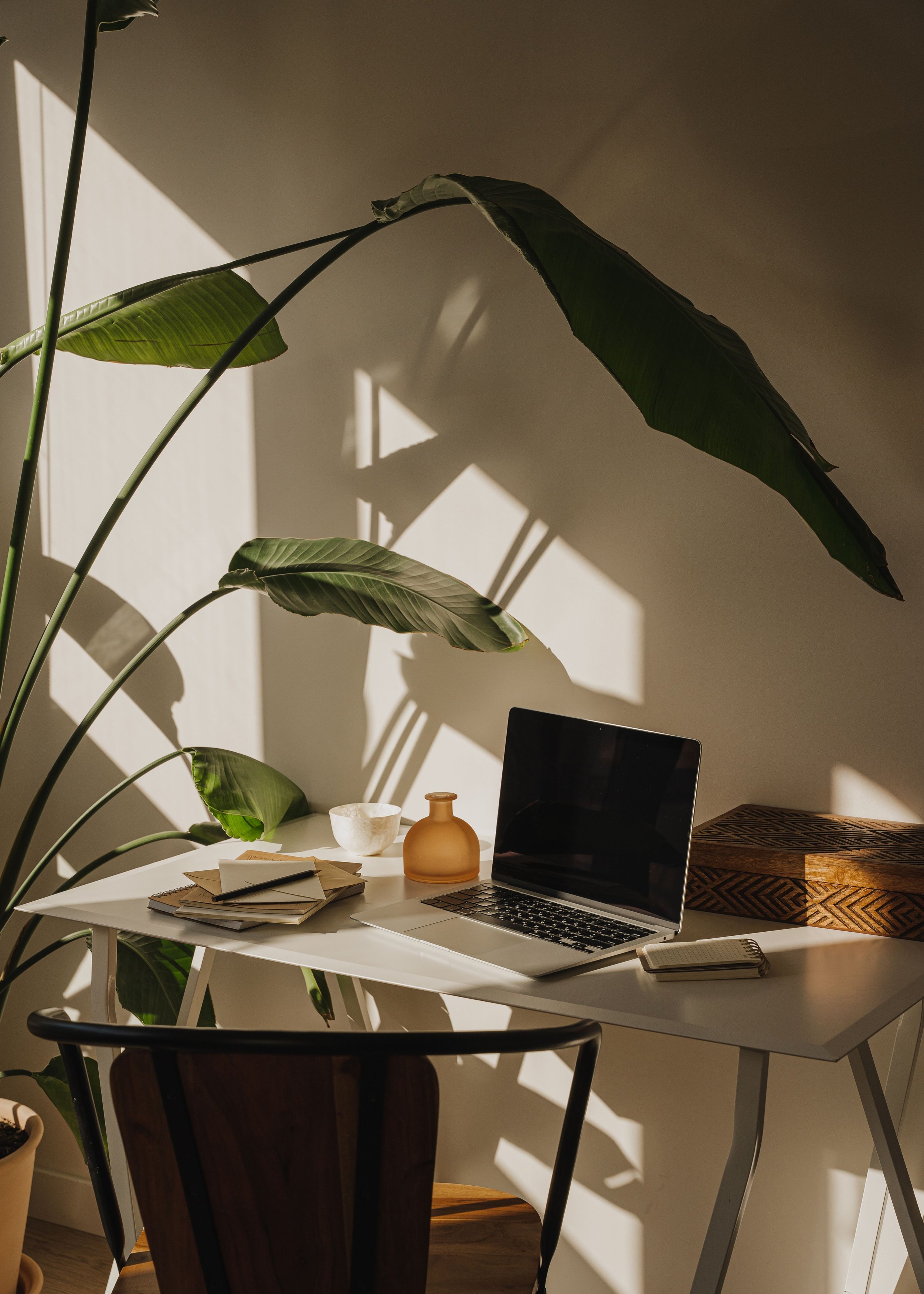 A modern work space with a desk, a laptop, notebook, pens, a bowl, a small decorative vase, and a potted plant casting shadows on the wall.