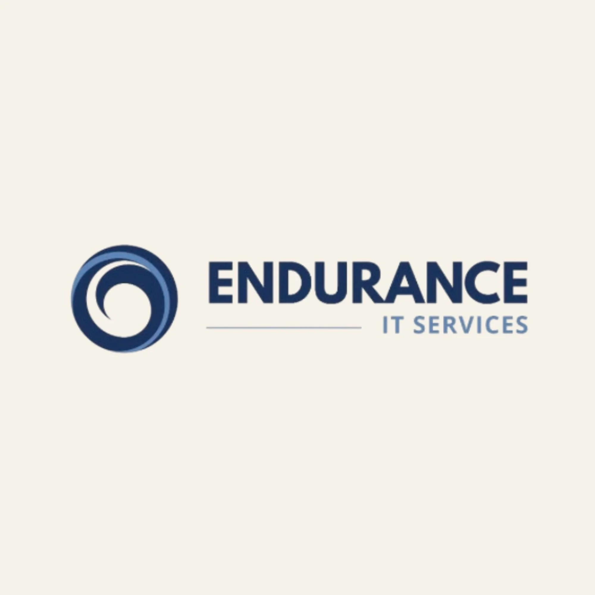 Logo with a blue circular icon and the words 'ENDURANCE IT SERVICES' in blue text.