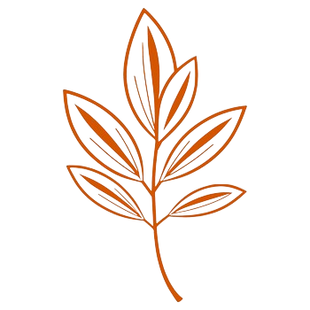 Stylized illustration of a single leaf with multiple elongated leaflets in orange outline.