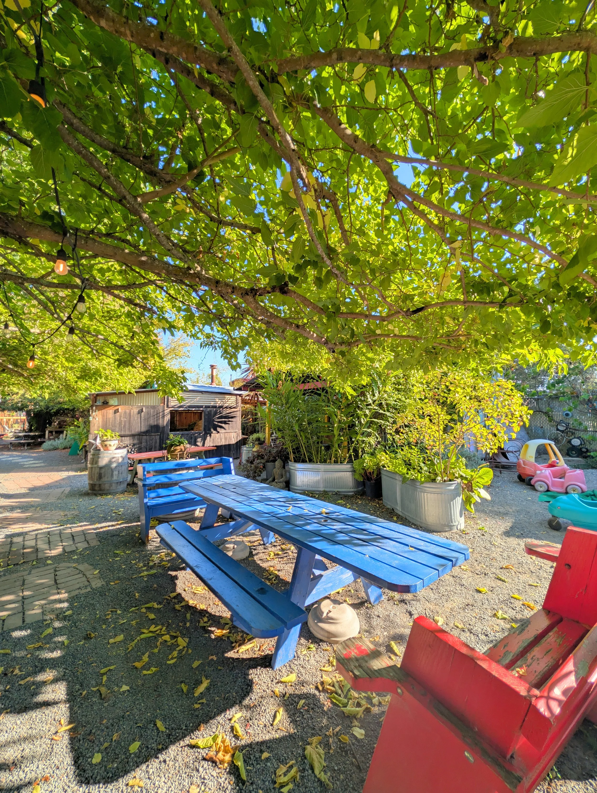 A backyard with a large tree providing shade, colorful benches, a small pink and yellow toy car, and potted plants. There are string lights hanging from the tree and a wooden shed in the background.