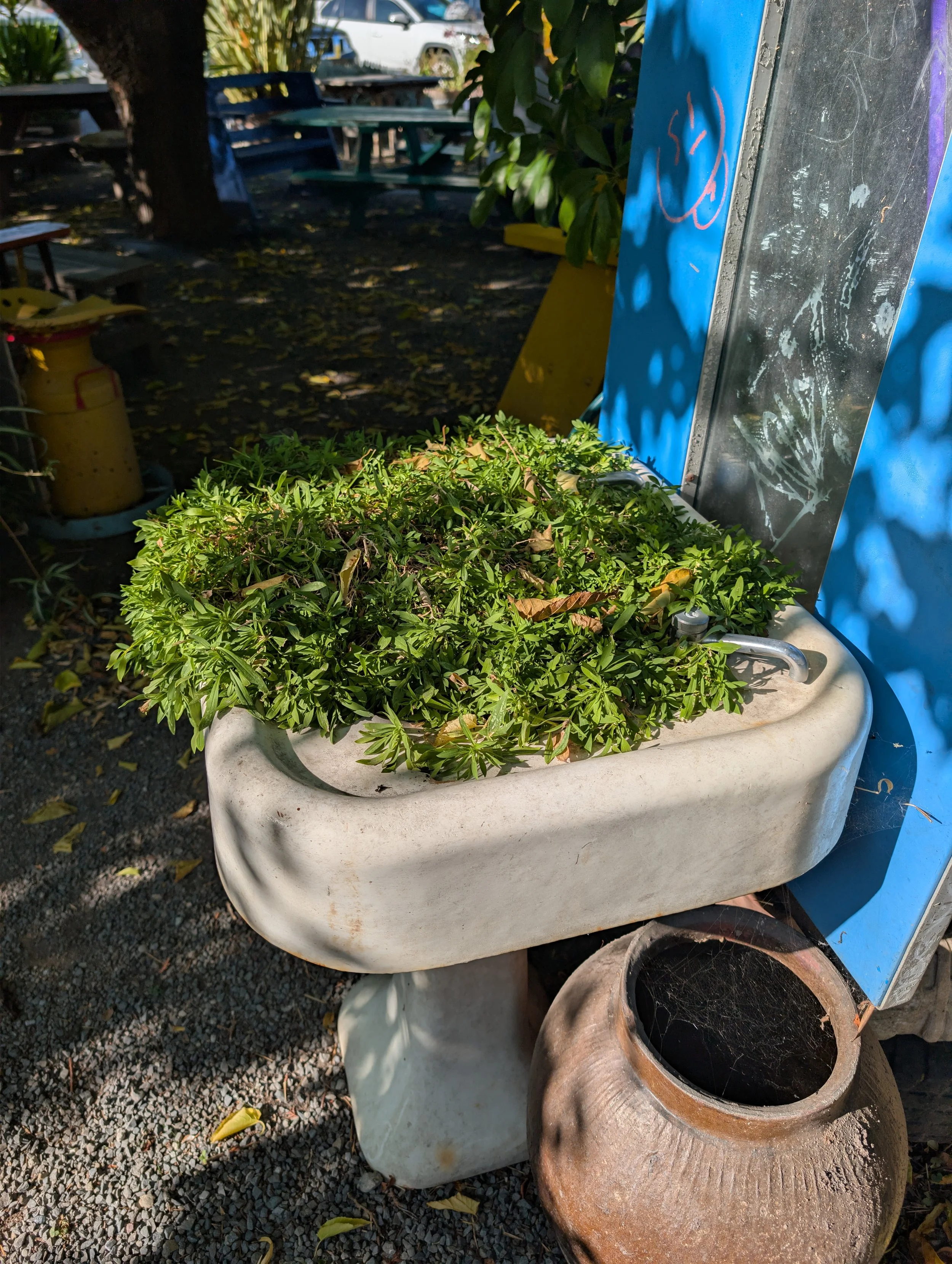 A large white planter with green plants inside it, placed outdoors on gravel ground. There are various objects around, including a yellow propane tank, an old clay pot, and some colorful painted furniture.