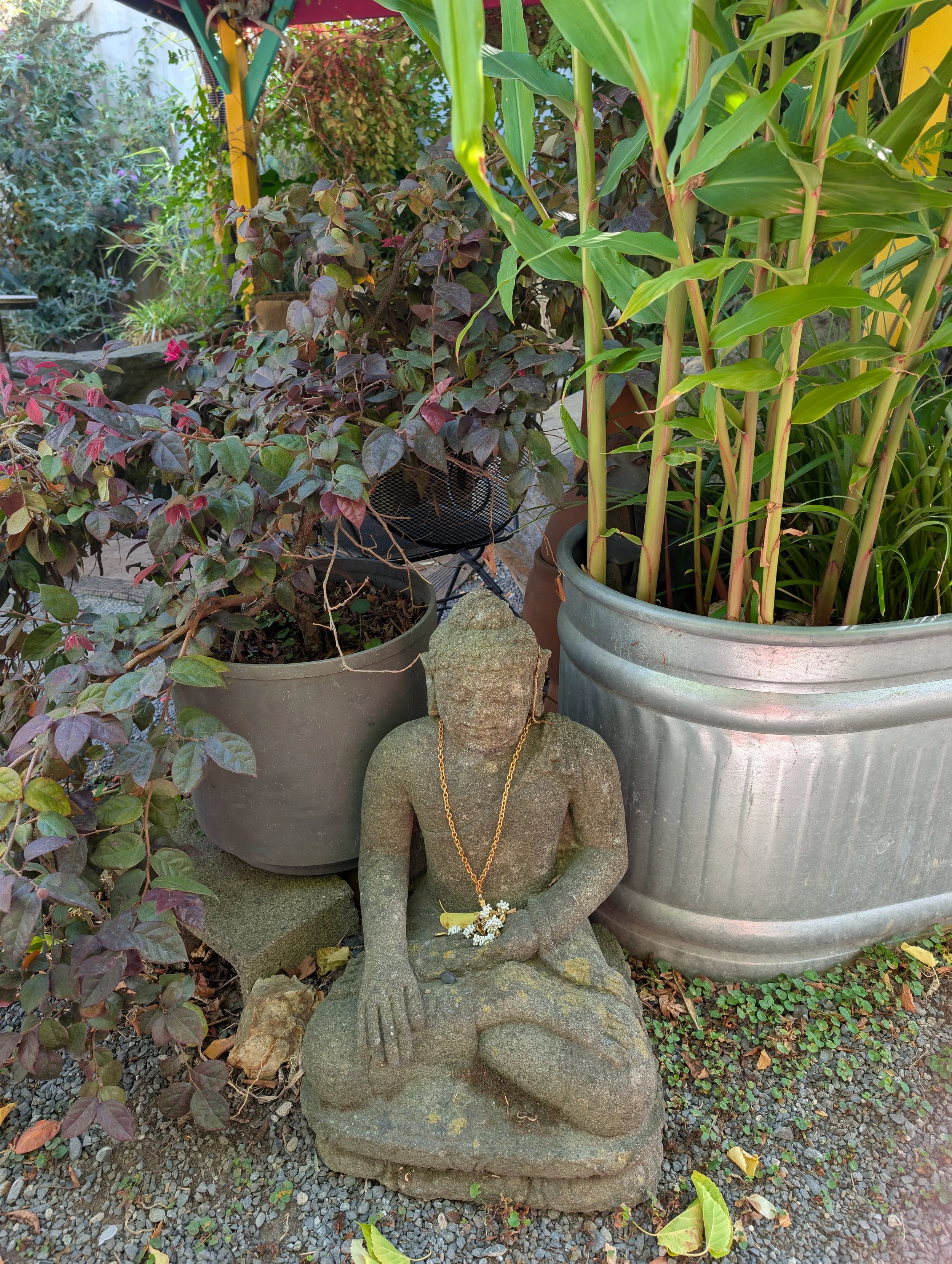 A stone statue of a seated Buddha figure with hands resting on the lap, adorned with a gold chain and white flowers, is surrounded by various potted plants and greenery in a garden setting.