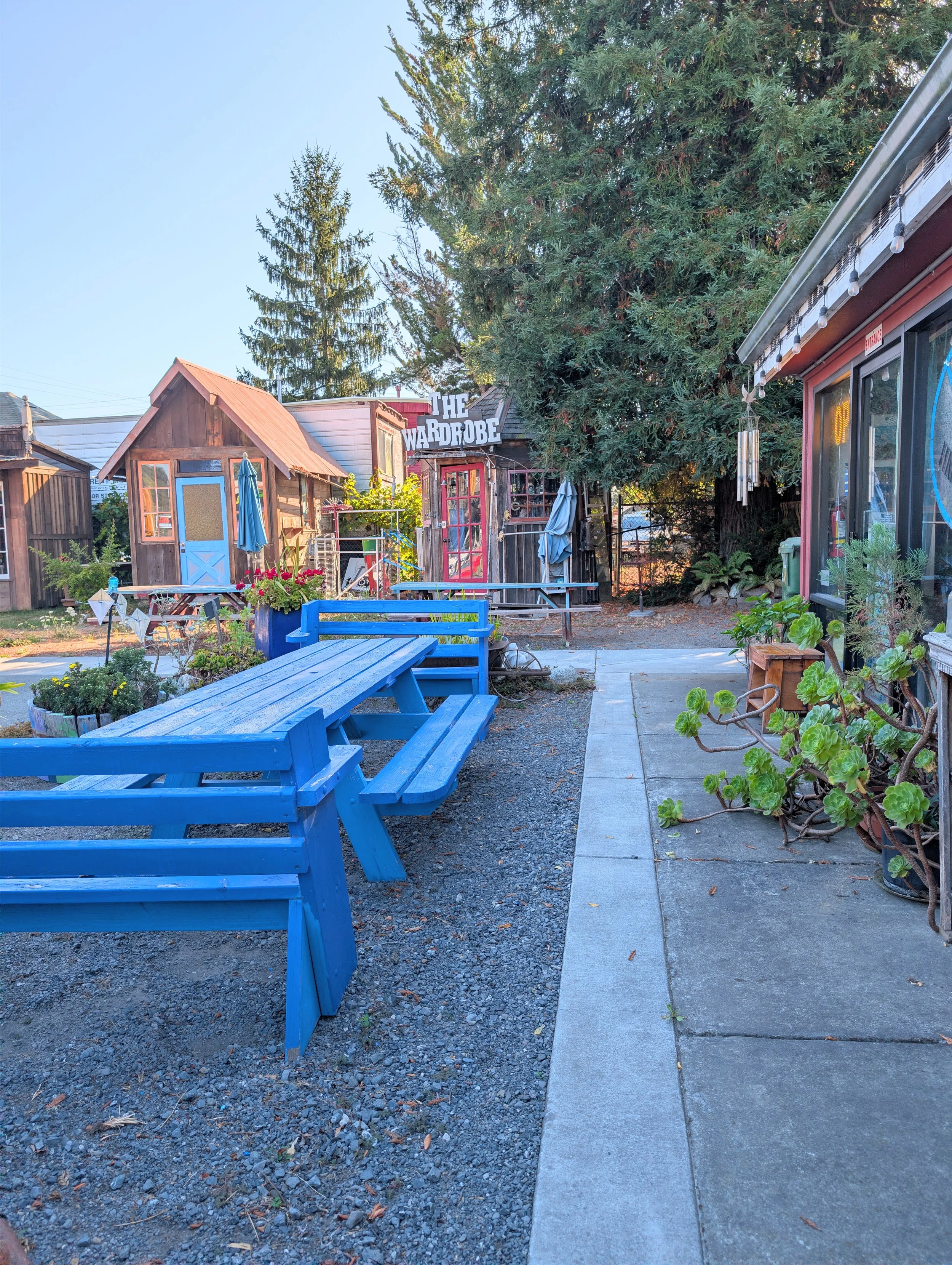 An outdoor area with wooden sheds, a large evergreen tree, a string of lights, and blue benches facing a small pathway, in front of a storefront with a neon sign and wind chimes hanging outside.