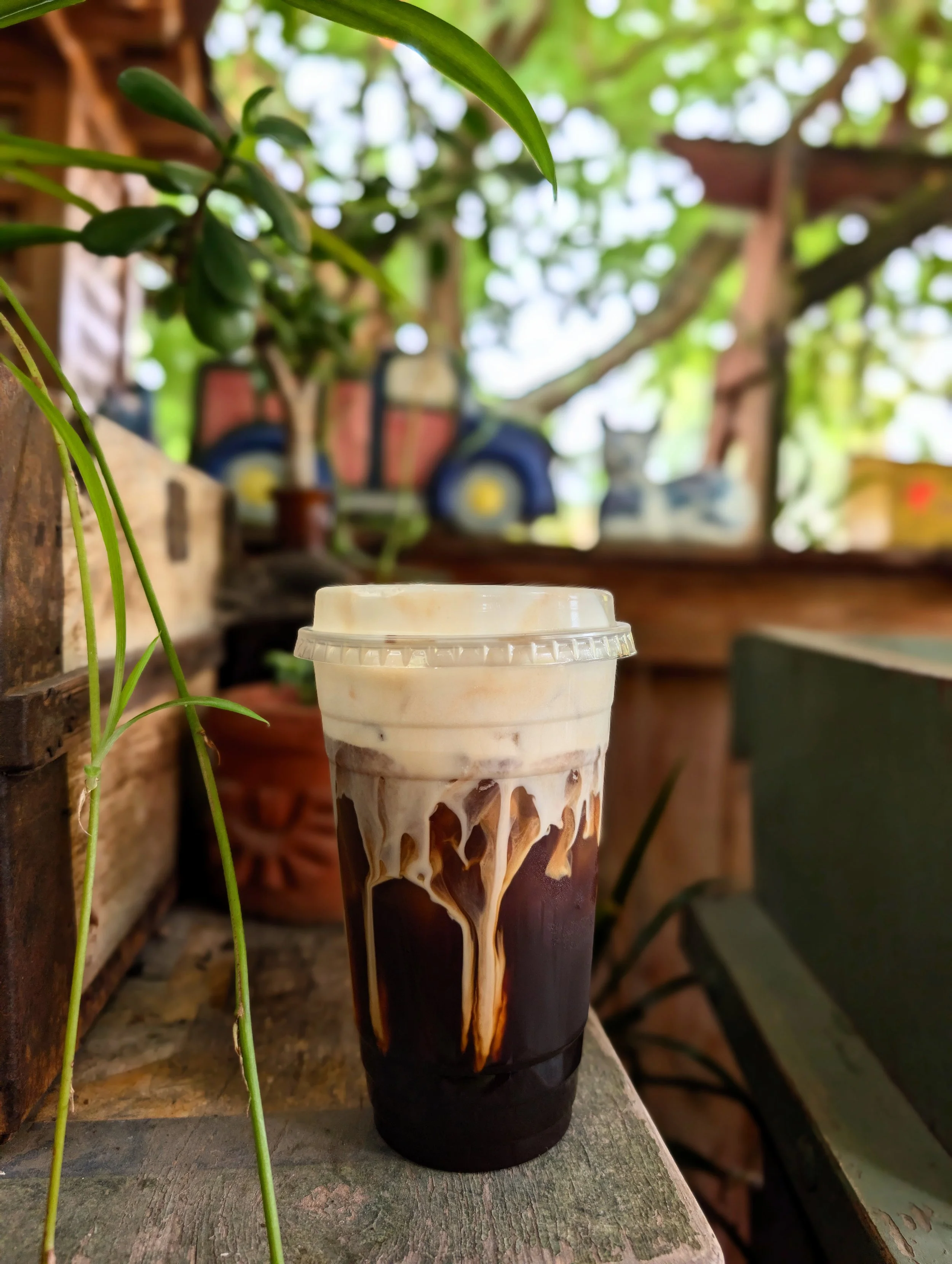 A plastic cup of iced coffee with milk on a ledge outside, with leafy green plants and a wooden structure in the background.