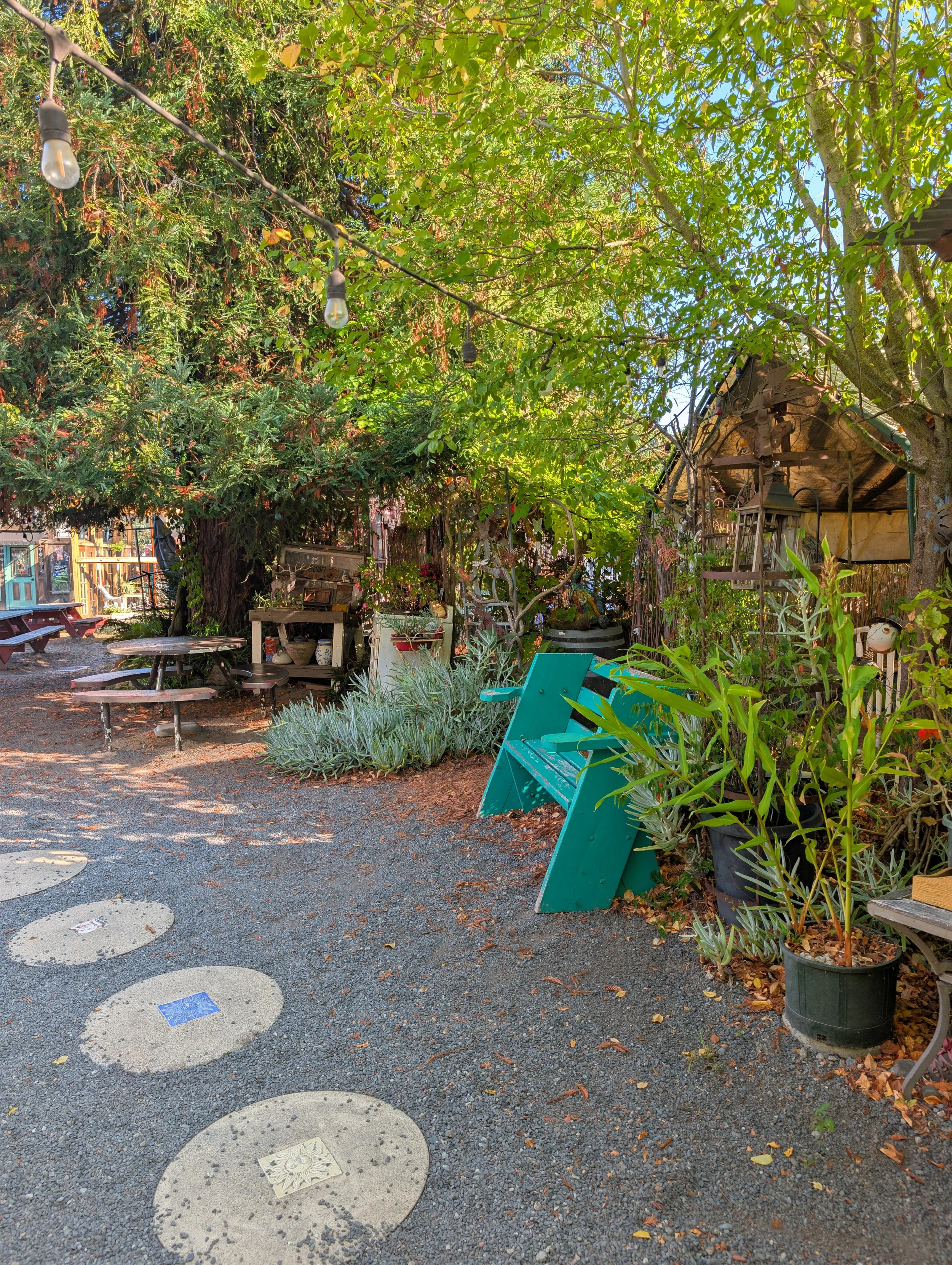 Outdoor garden scene with a large tree, string lights, various potted plants, a turquoise bench, and stepping stones.