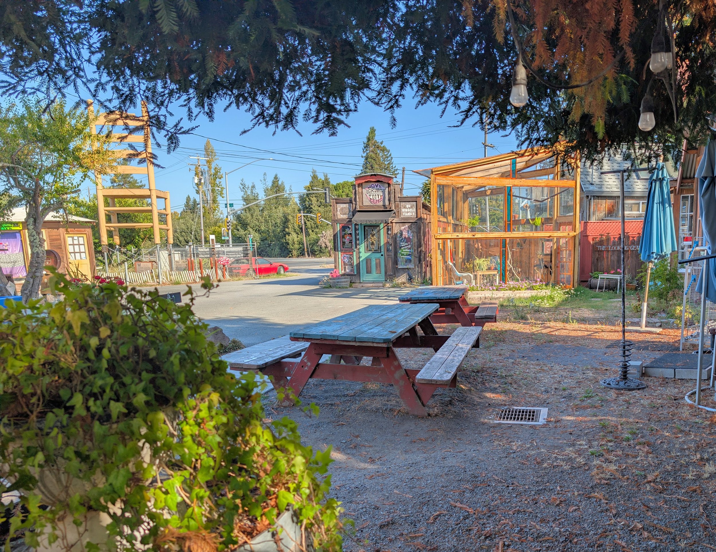 Outdoor patio area with picnic tables, plants, string lights, and a small building with a glass porch, surrounded by trees and wires under a blue sky.